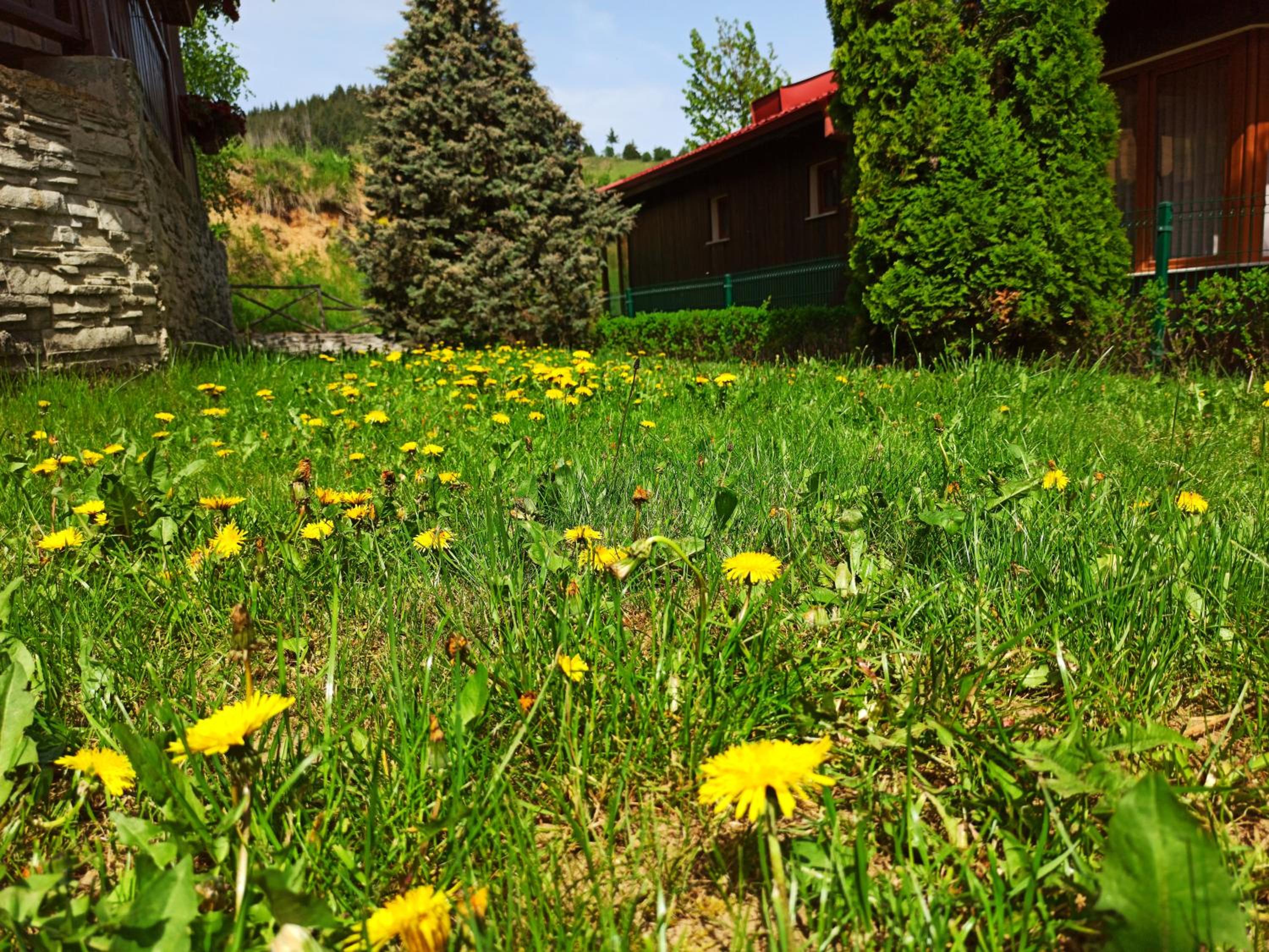 Rodopi Houses