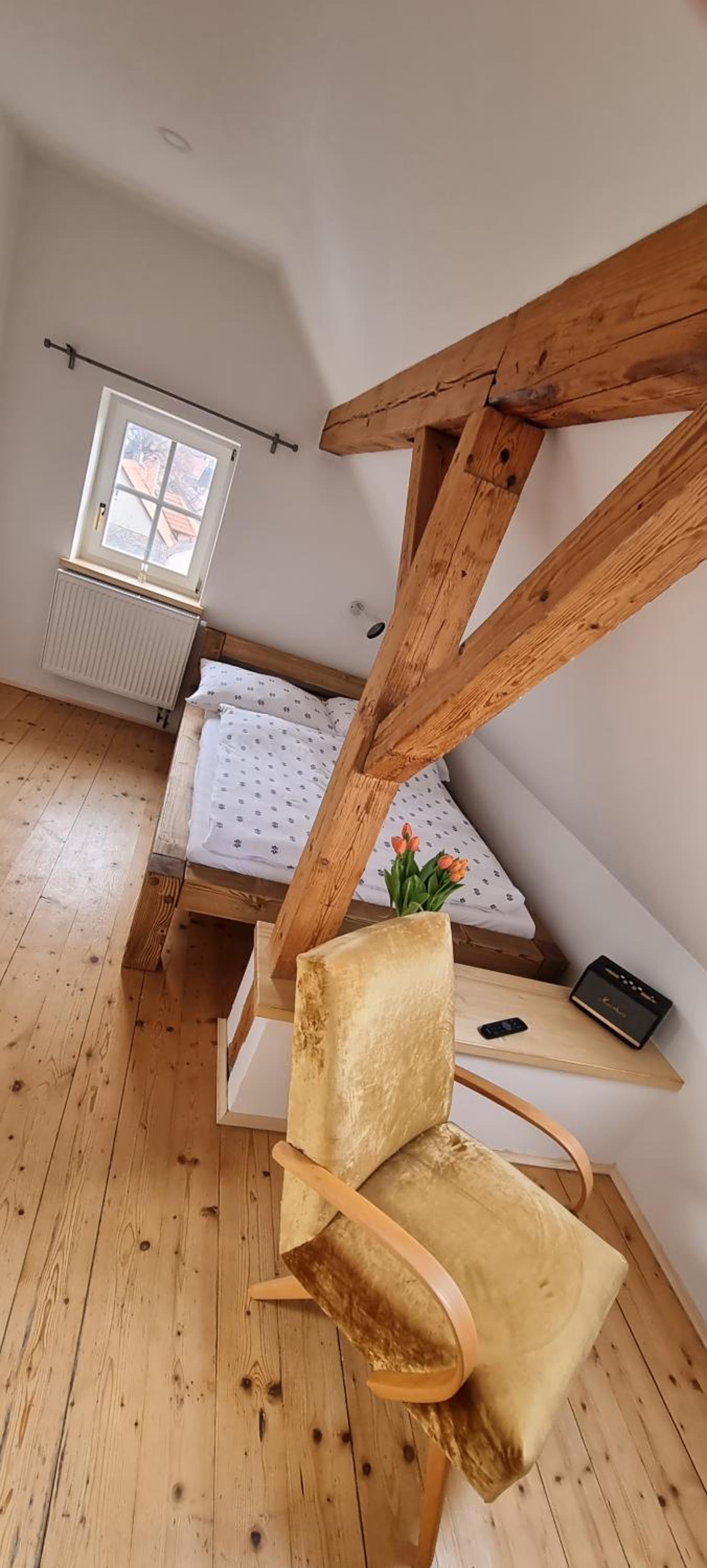 Konšelský šenk Domažlice