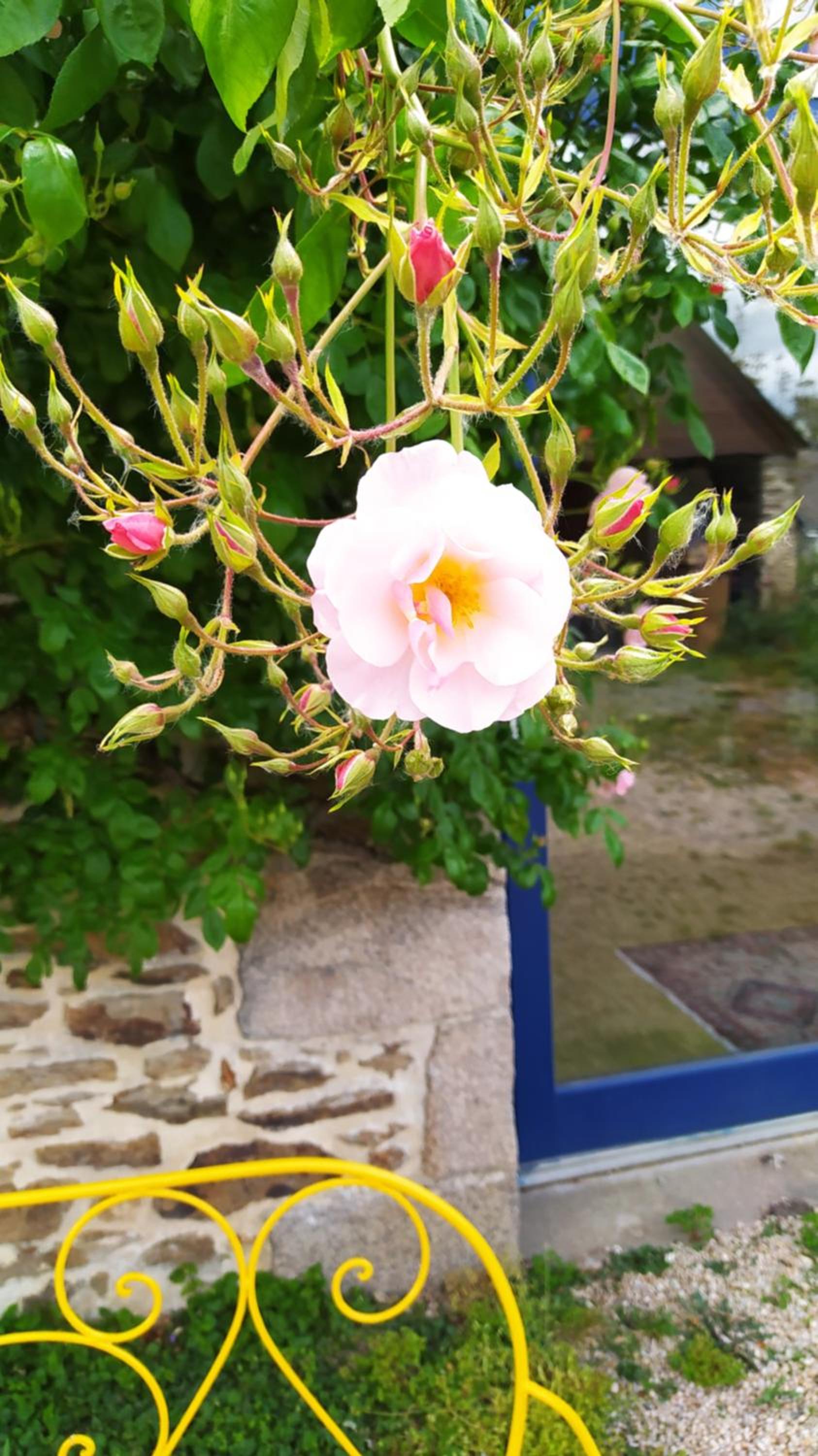 Photo 46