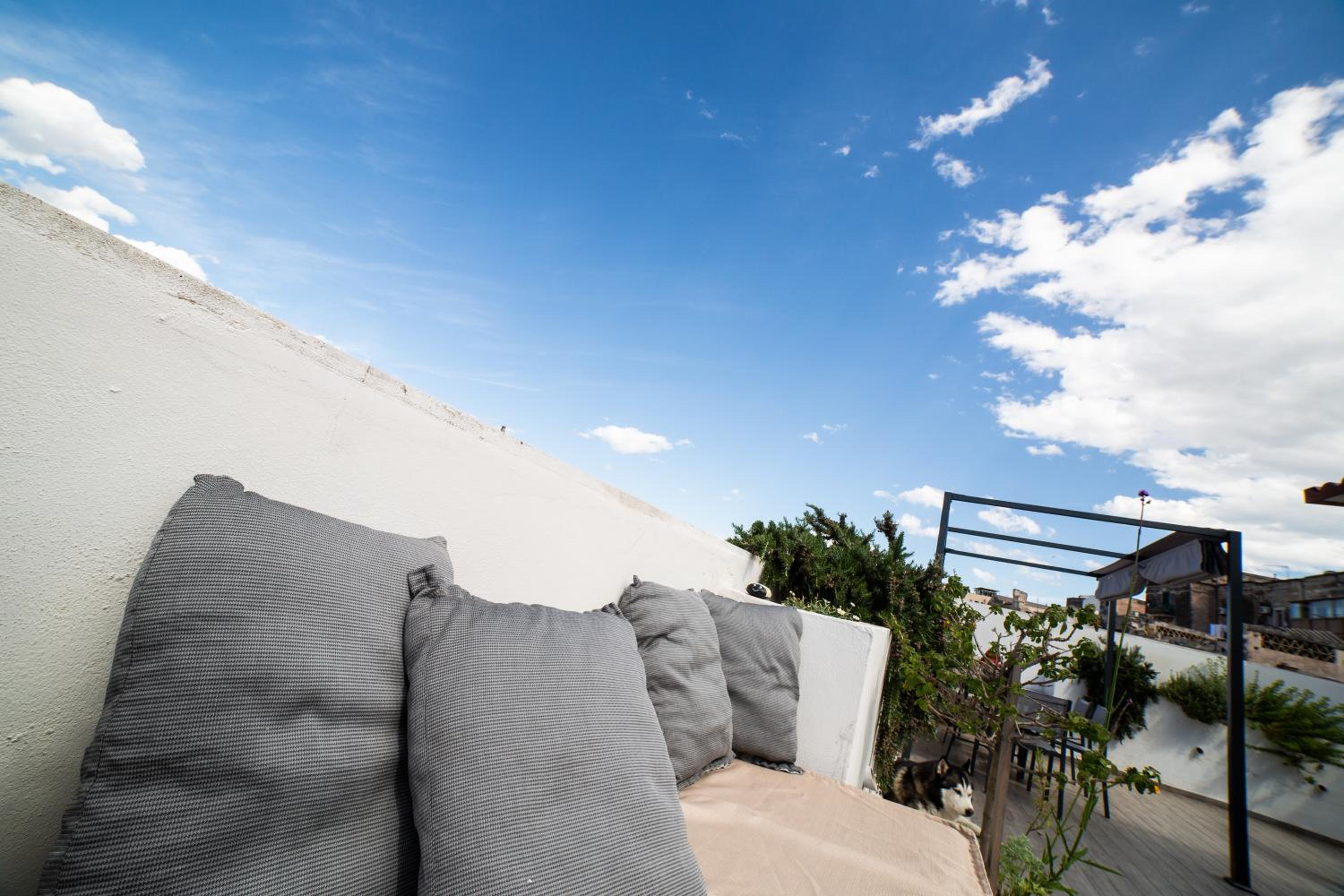 roof