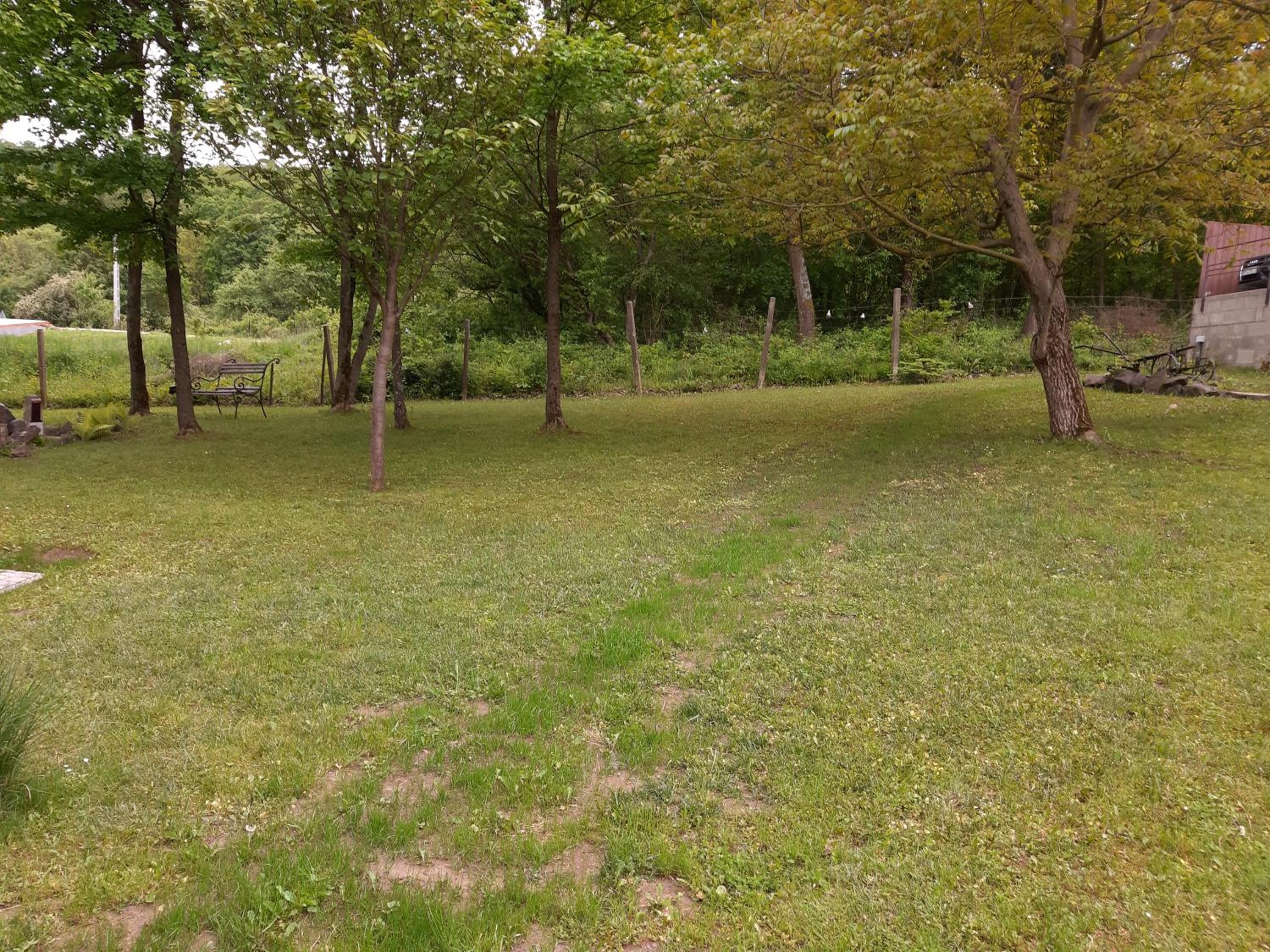 Photo 30