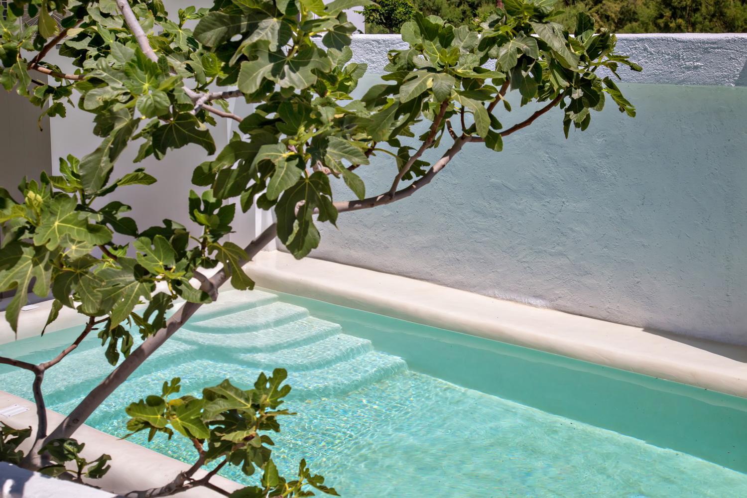 Beachside Villa Agios Sostis view 4