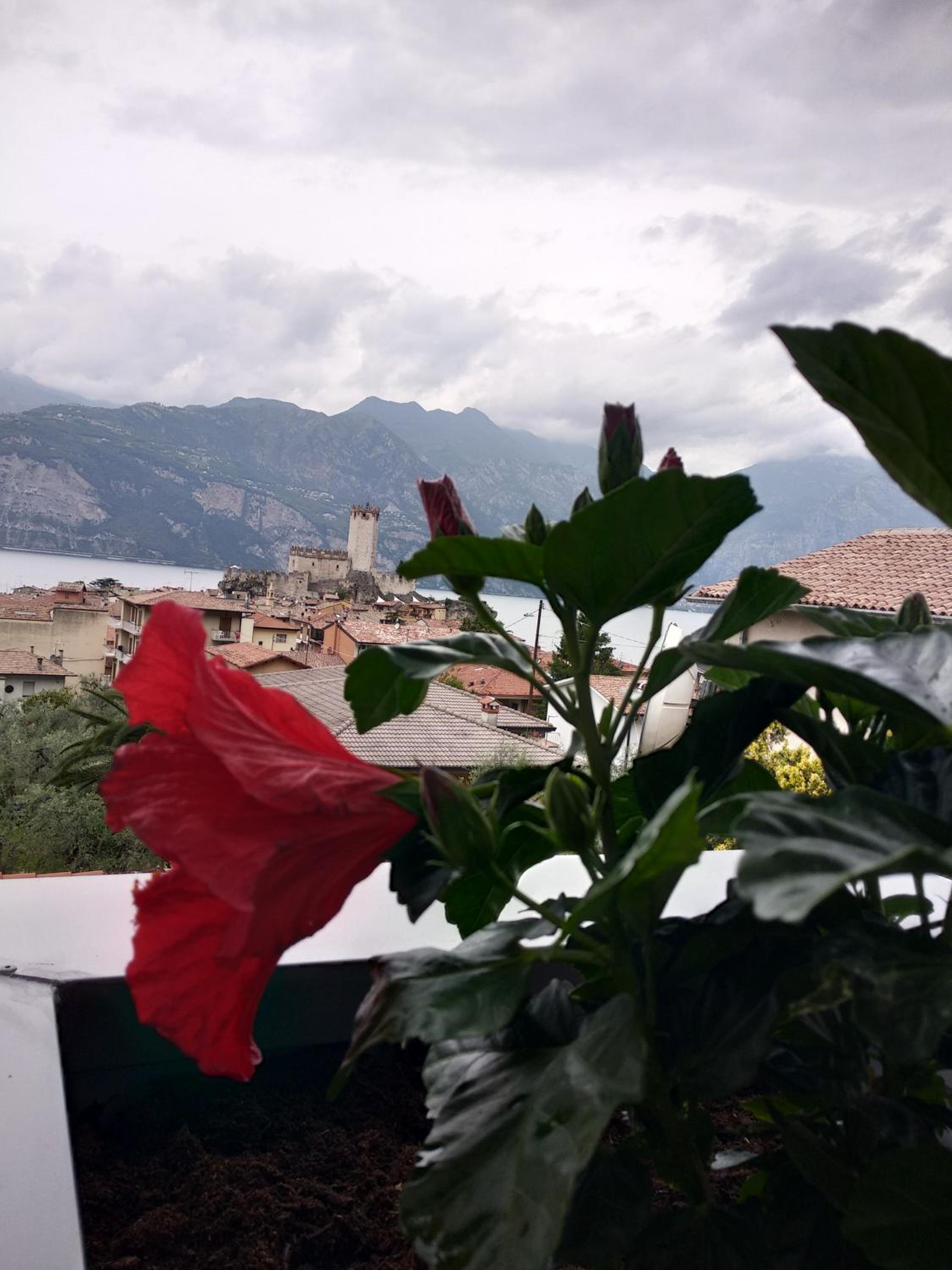 Blue Sky Garda - Zaffiro view 3
