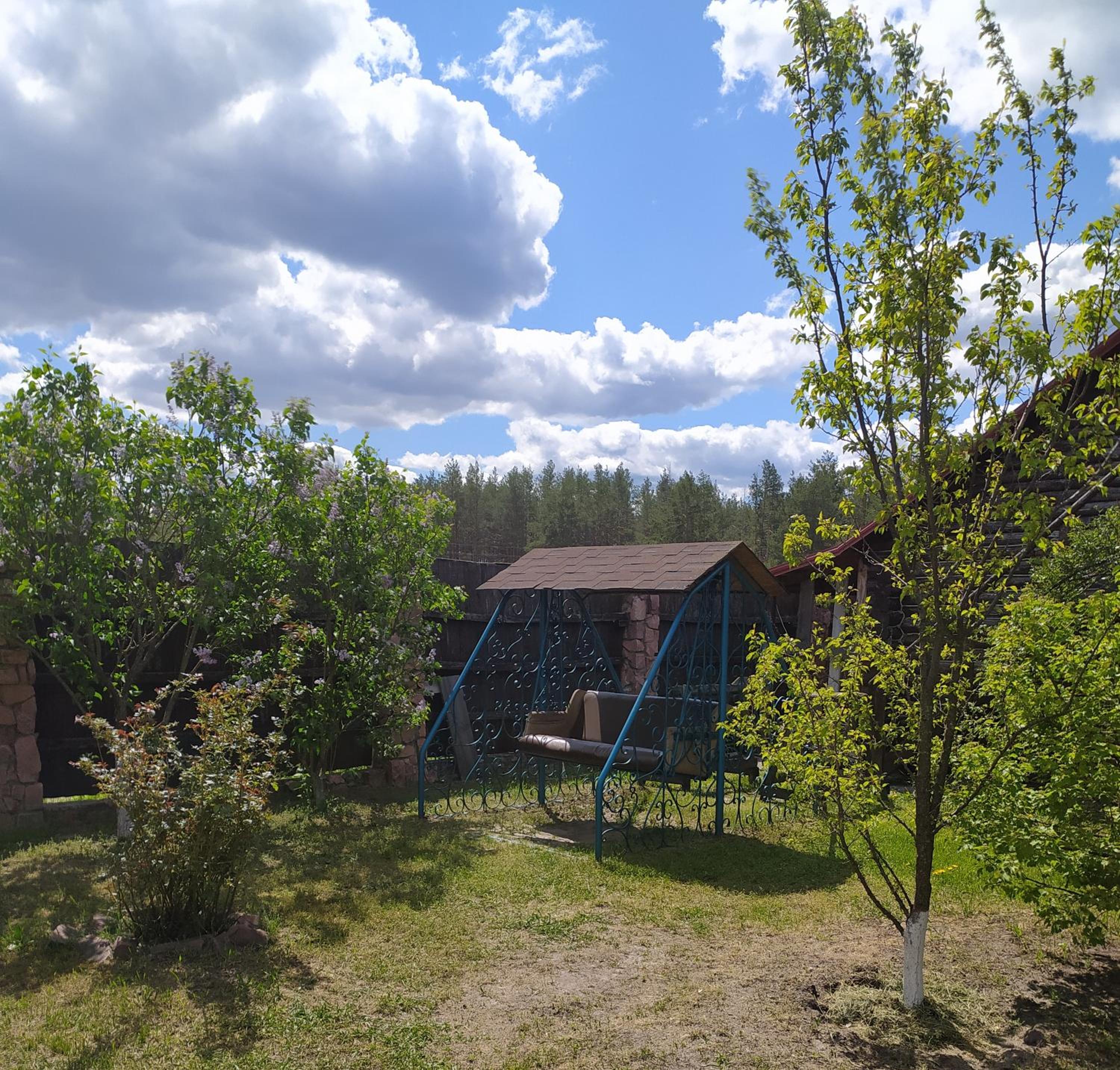 Photo 8