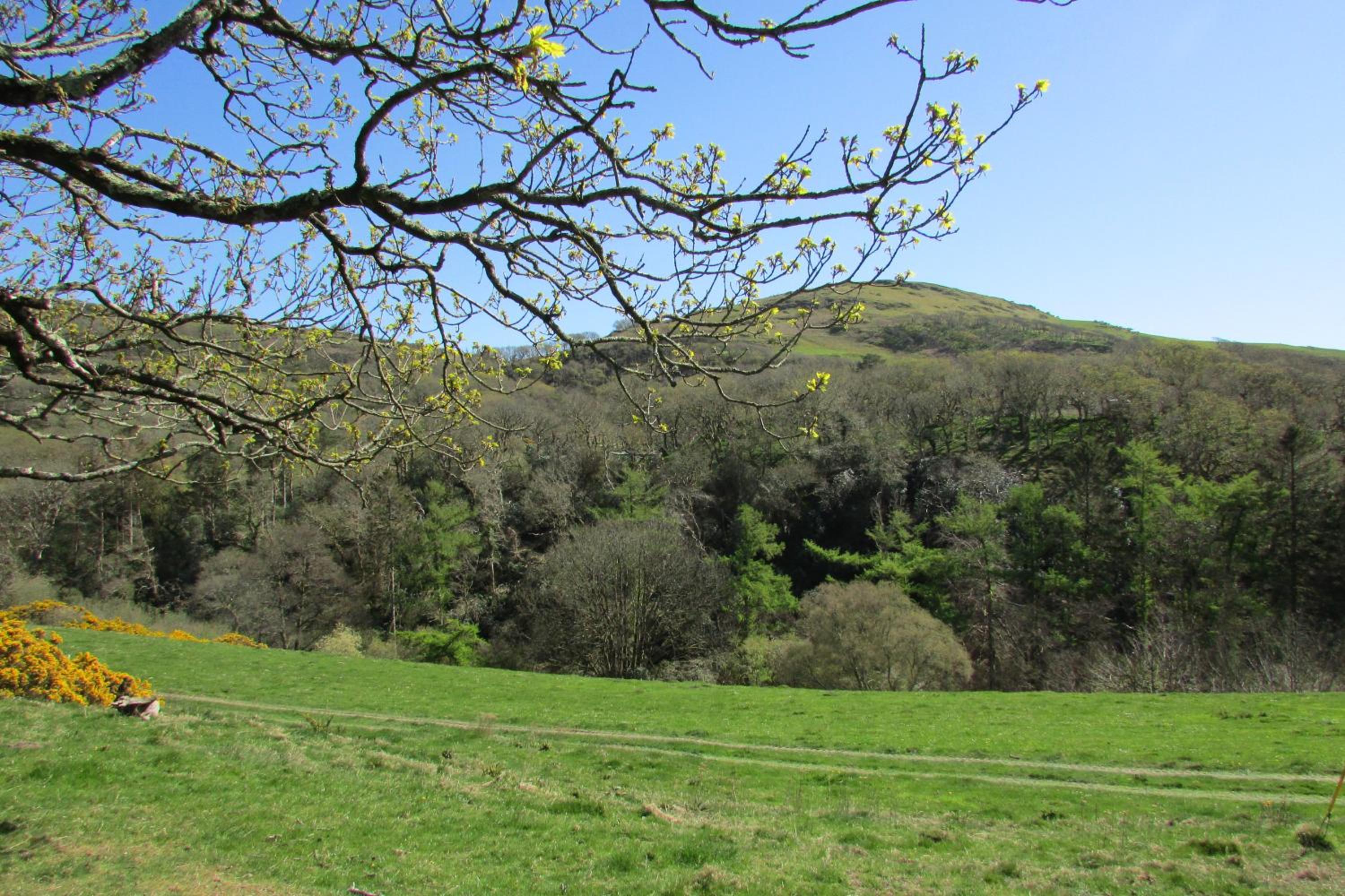 Golygfa'r Cwm view 5