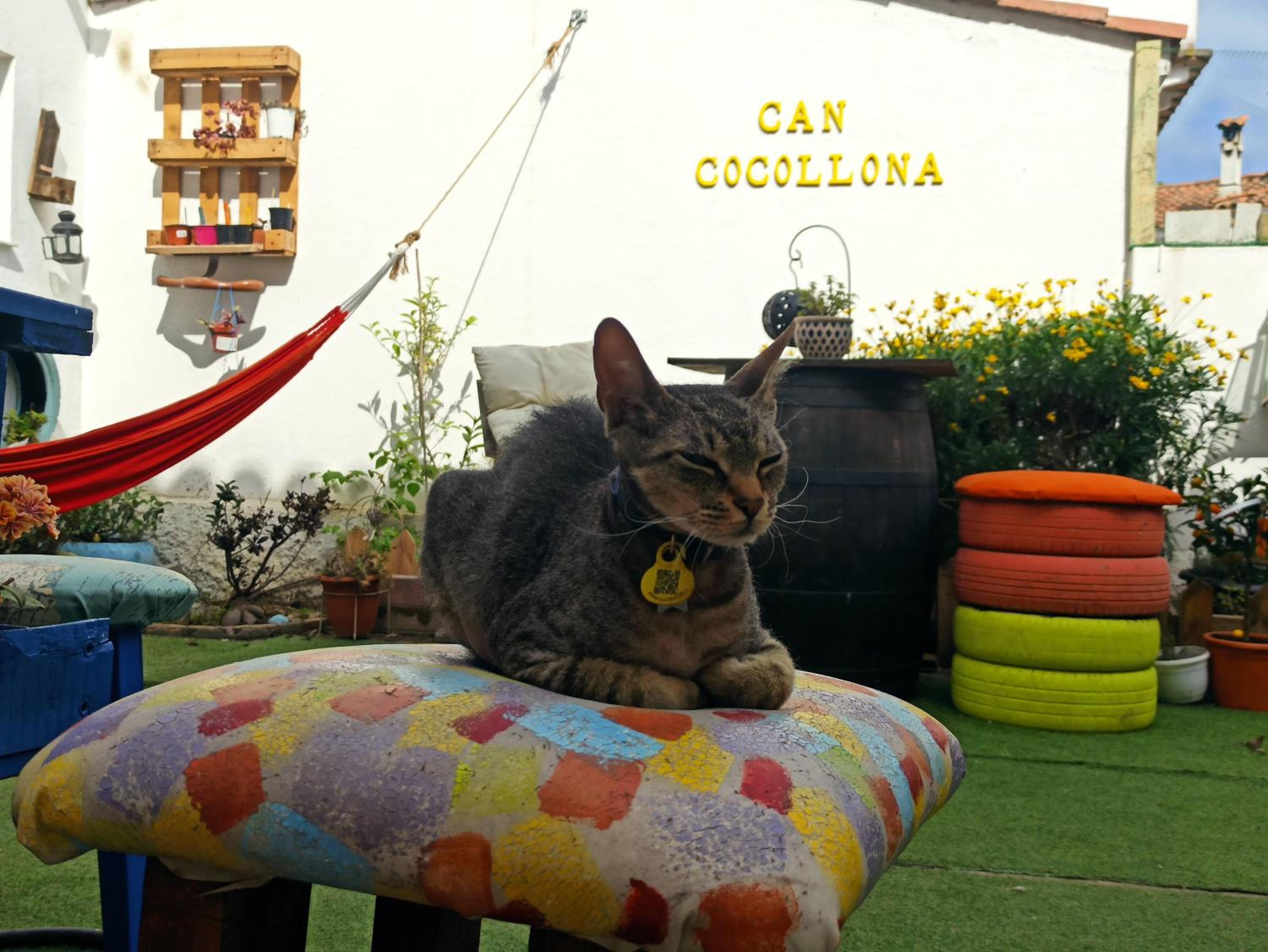 Can Cocollona view 3