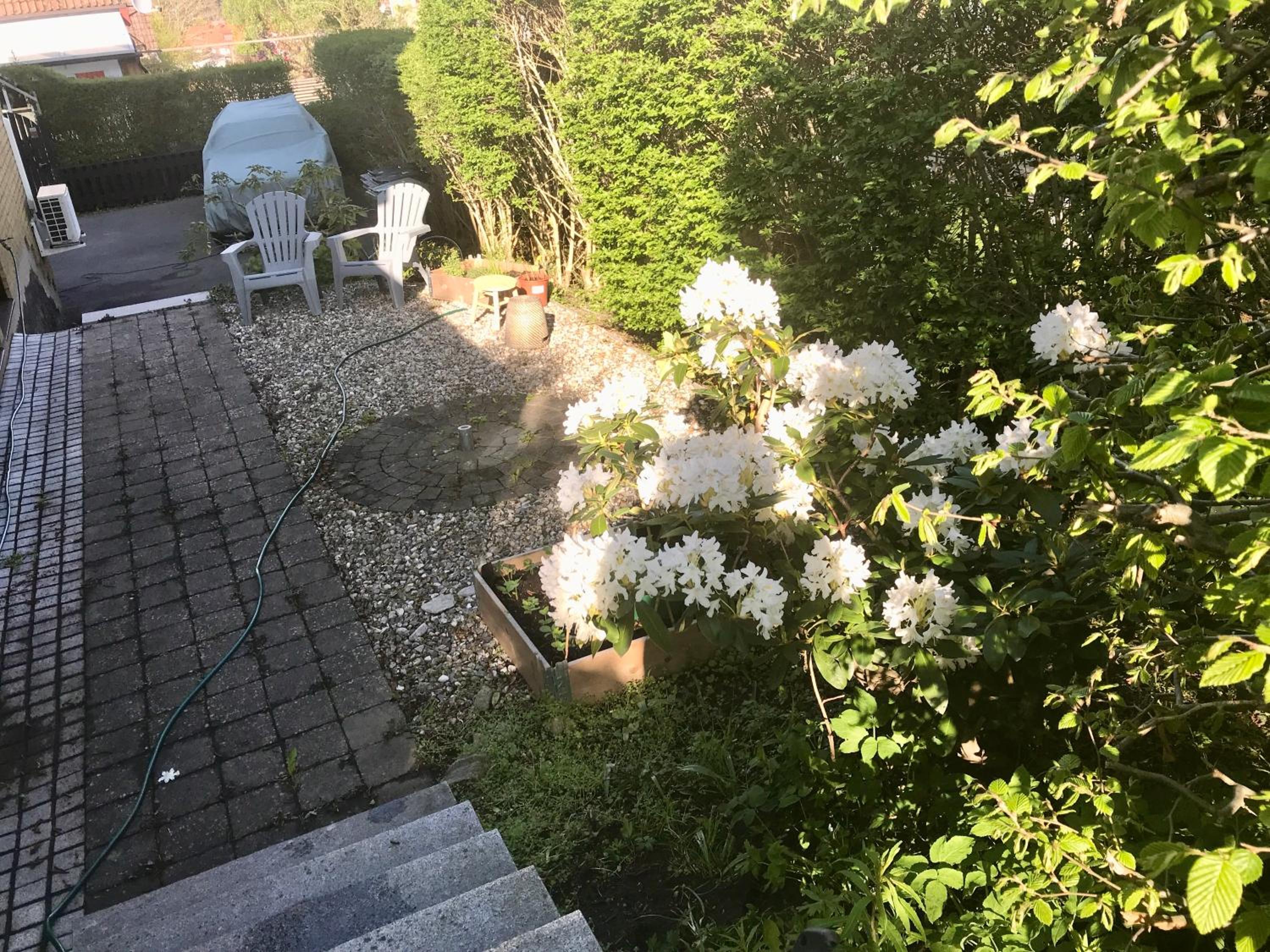Photo 18