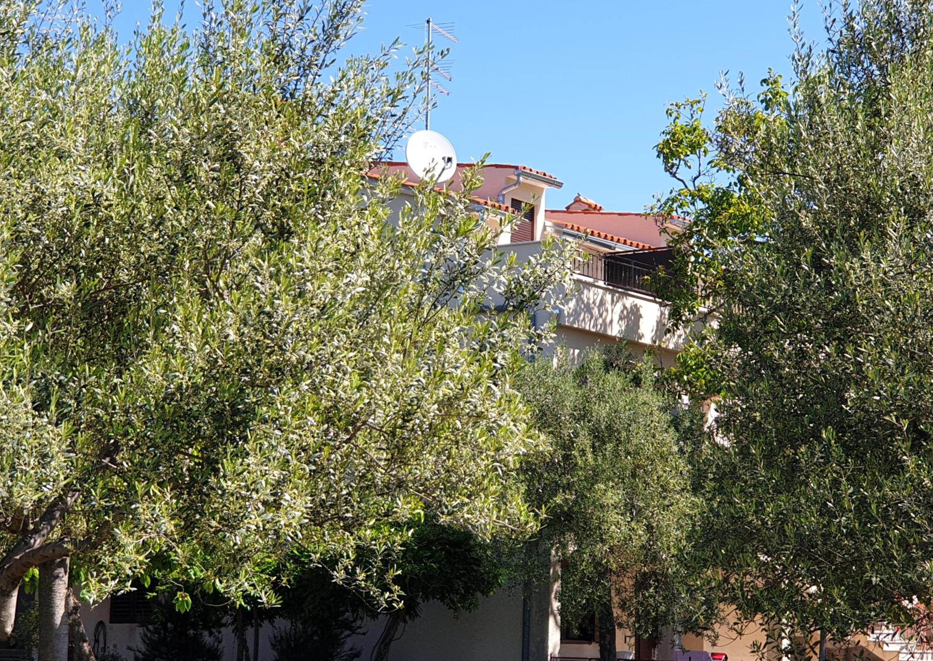 BOUTIQUE ROOMS Mare Fabulas view 4