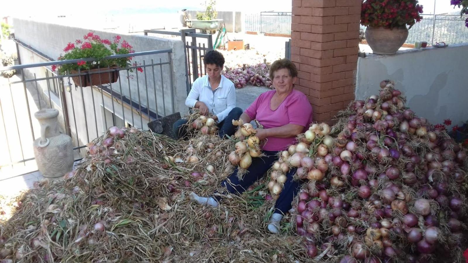 Agriturismo Gli Antichi Sapori Di Anna Coppola - con stazione di ricarica veicoli elettrici