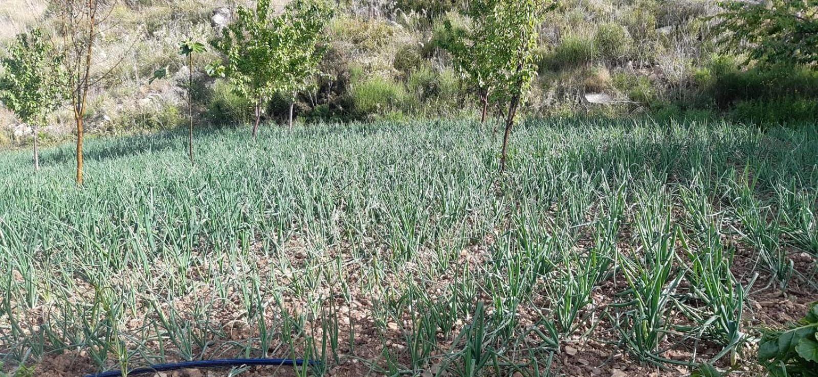Agriturismo Gli Antichi Sapori Di Anna Coppola - con stazione di ricarica veicoli elettrici
