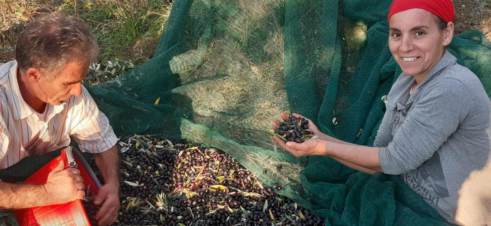 Agriturismo Gli Antichi Sapori Di Anna Coppola - con stazione di ricarica veicoli elettrici