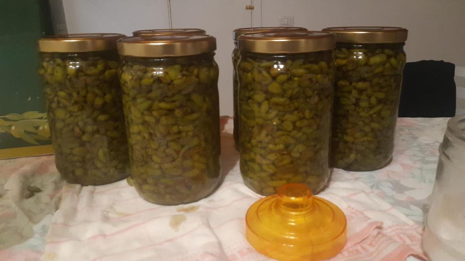 Agriturismo Gli Antichi Sapori Di Anna Coppola - con stazione di ricarica veicoli elettrici