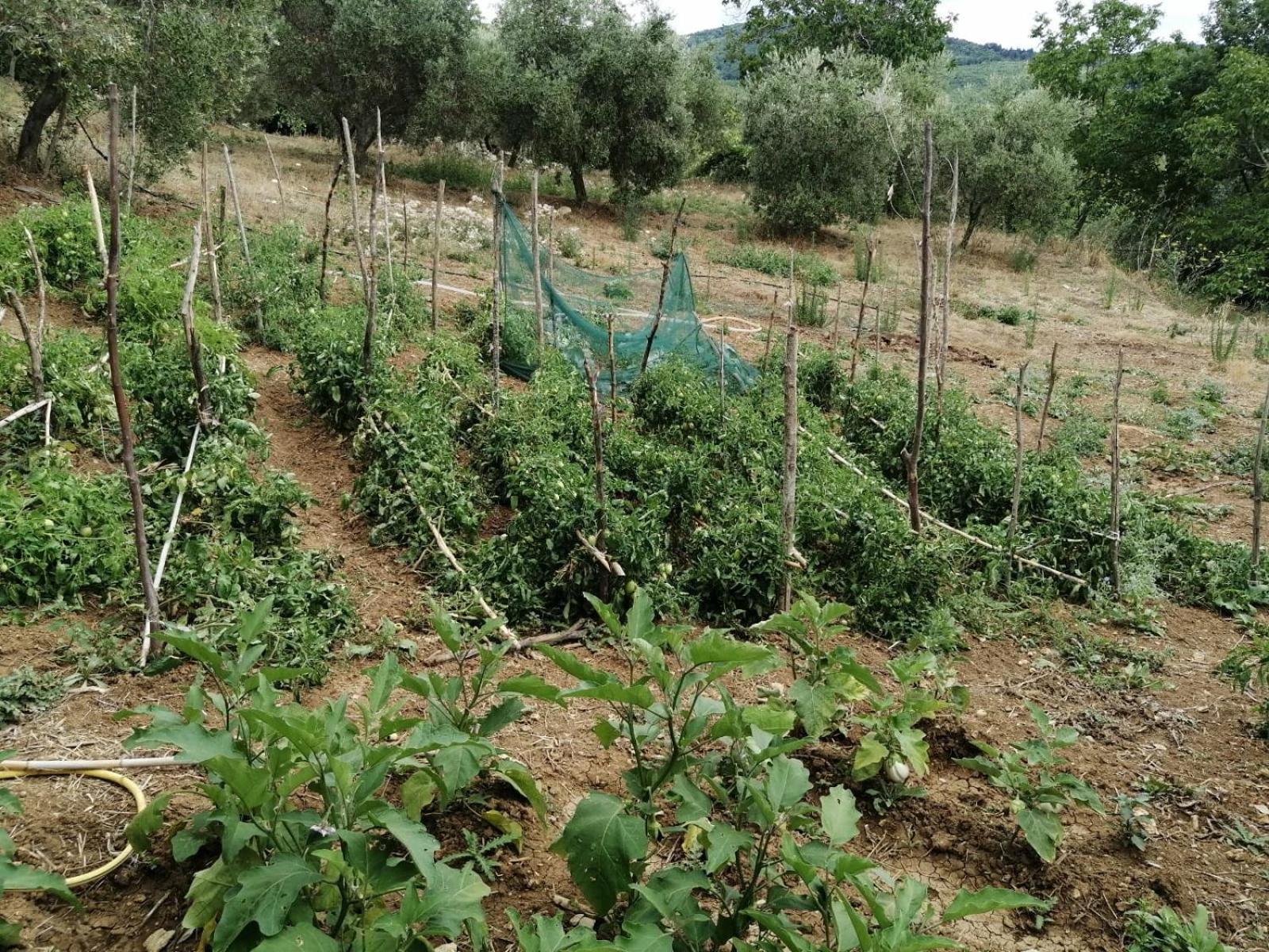 Agriturismo Gli Antichi Sapori Di Anna Coppola - con stazione di ricarica veicoli elettrici