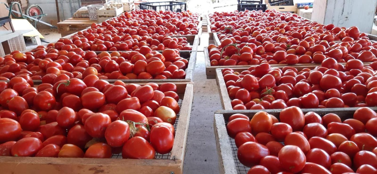 Agriturismo Gli Antichi Sapori Di Anna Coppola - con stazione di ricarica veicoli elettrici
