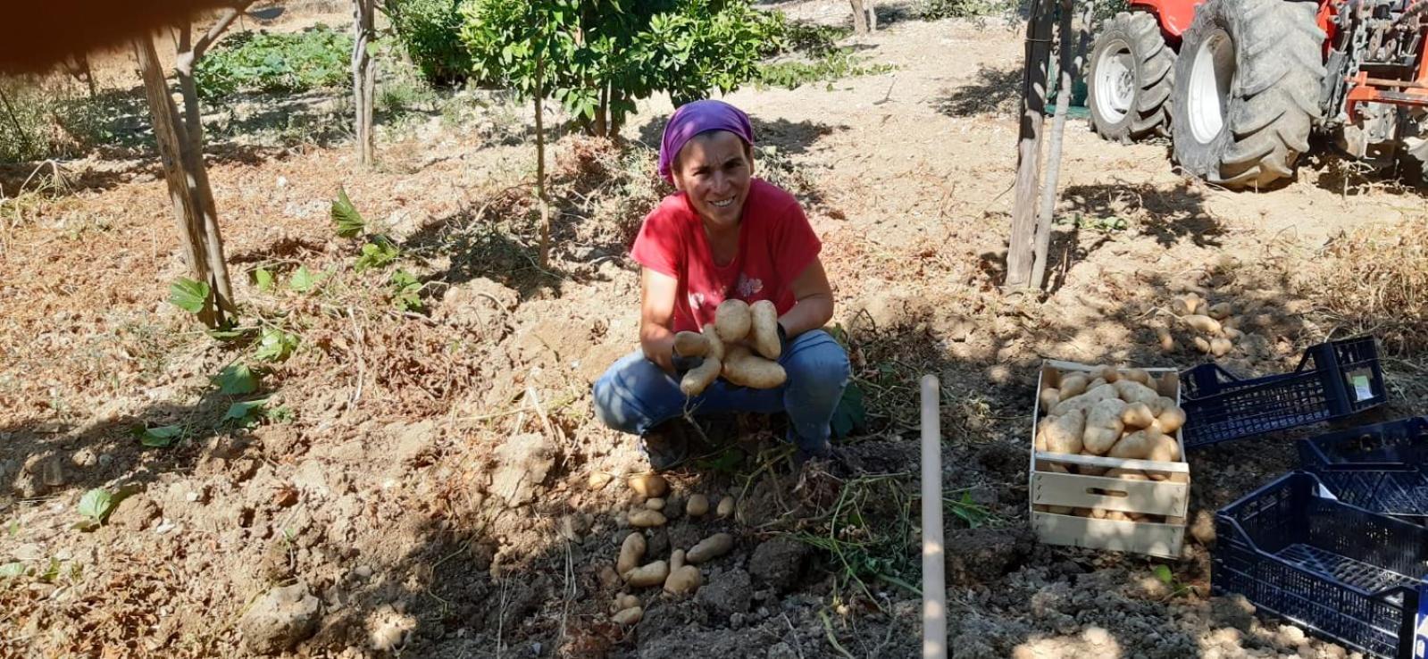 Agriturismo Gli Antichi Sapori Di Anna Coppola - con stazione di ricarica veicoli elettrici