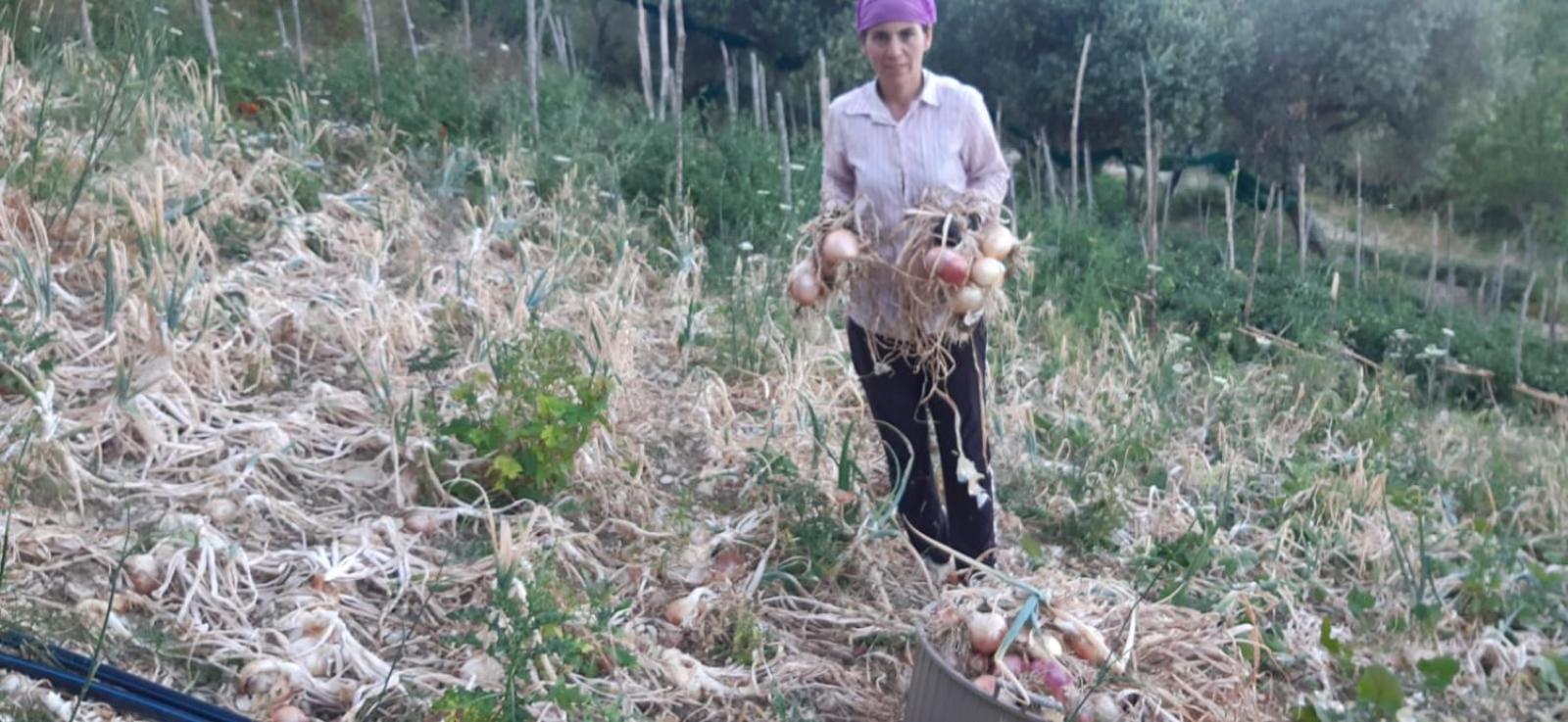 Agriturismo Gli Antichi Sapori Di Anna Coppola - con stazione di ricarica veicoli elettrici