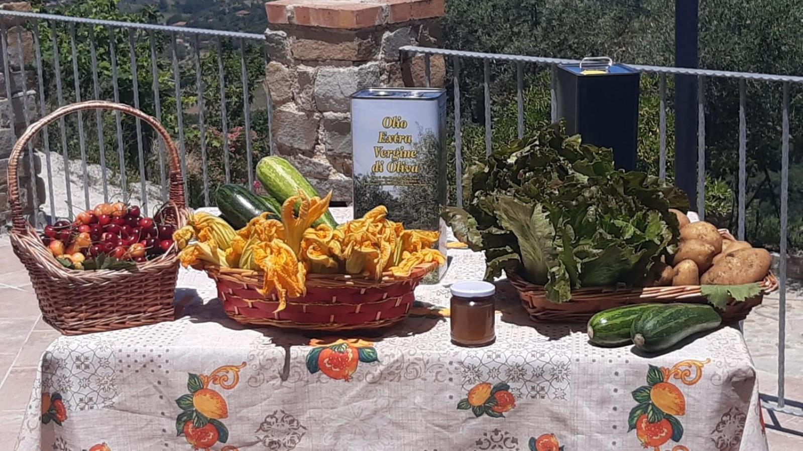 Agriturismo Gli Antichi Sapori Di Anna Coppola - con stazione di ricarica veicoli elettrici