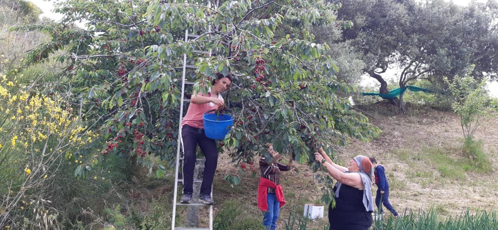 Agriturismo Gli Antichi Sapori Di Anna Coppola - con stazione di ricarica veicoli elettrici