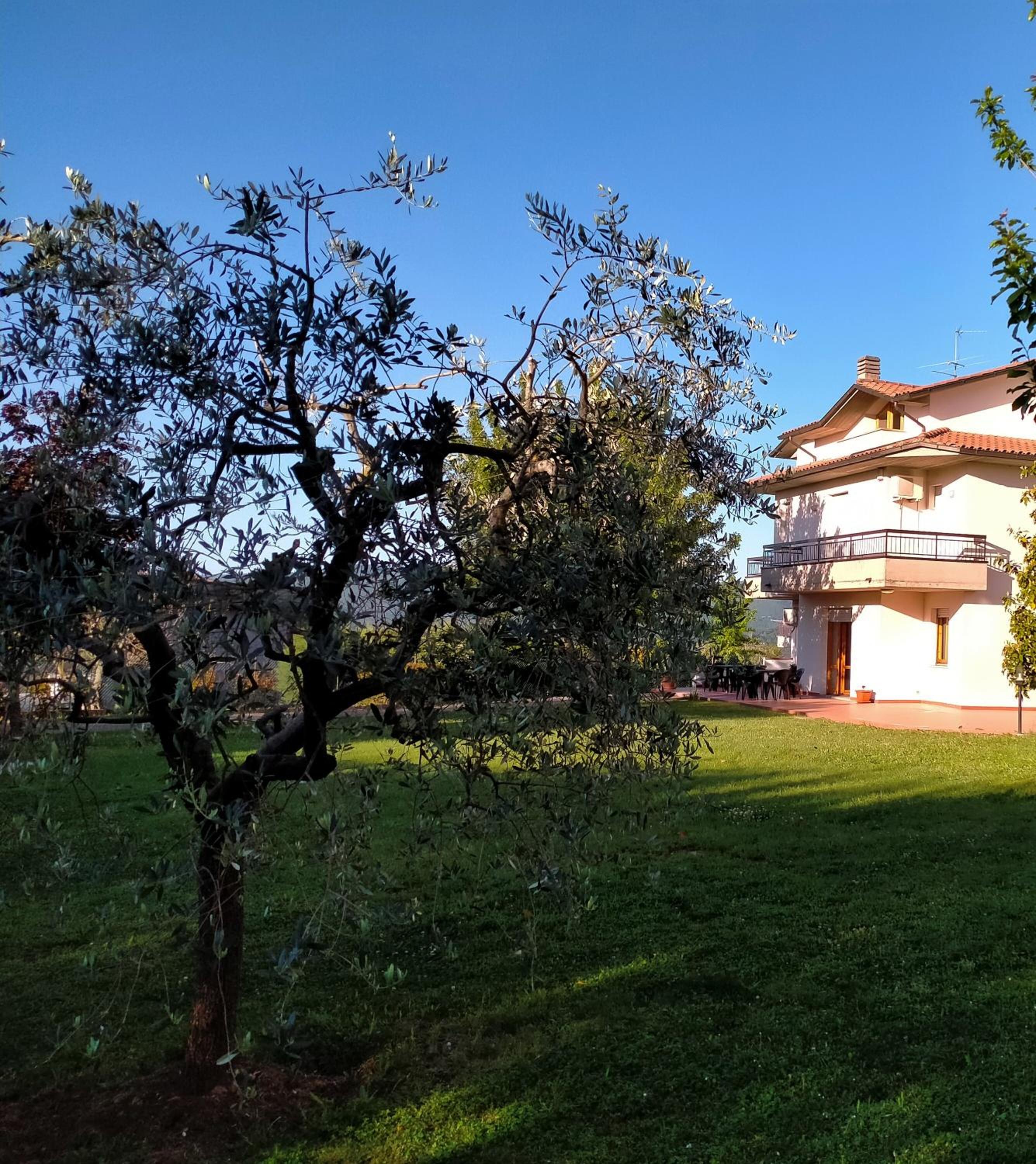 Photo 18