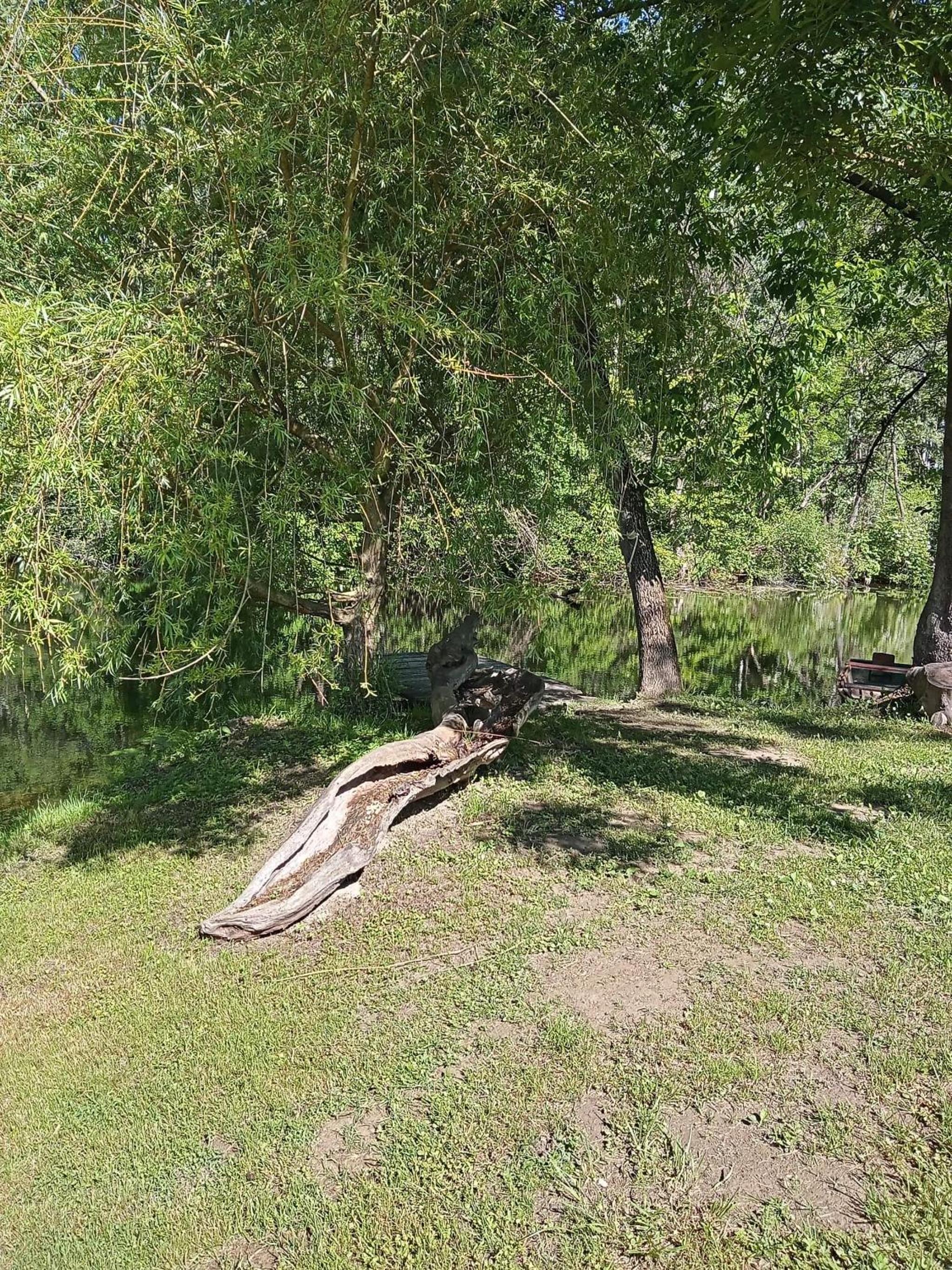 Photo 31