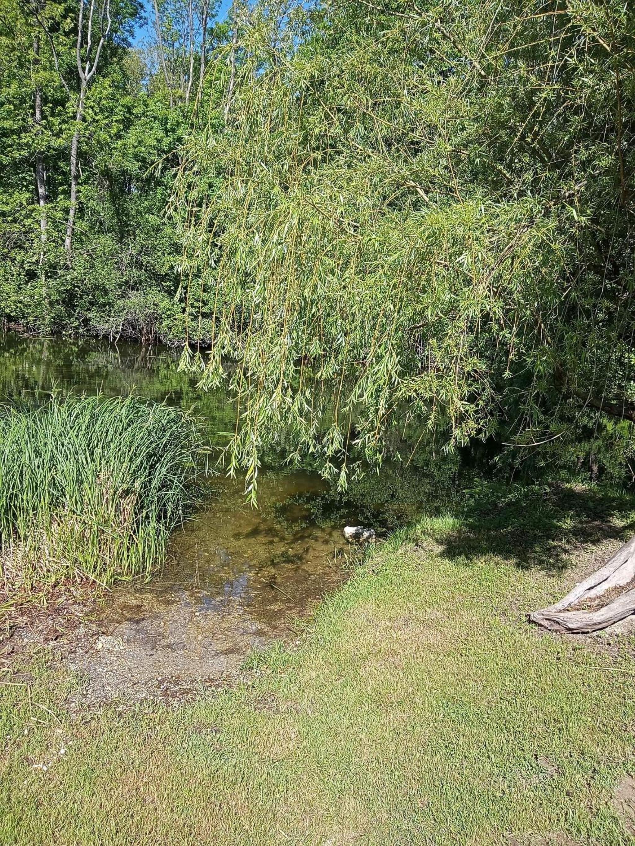Photo 33
