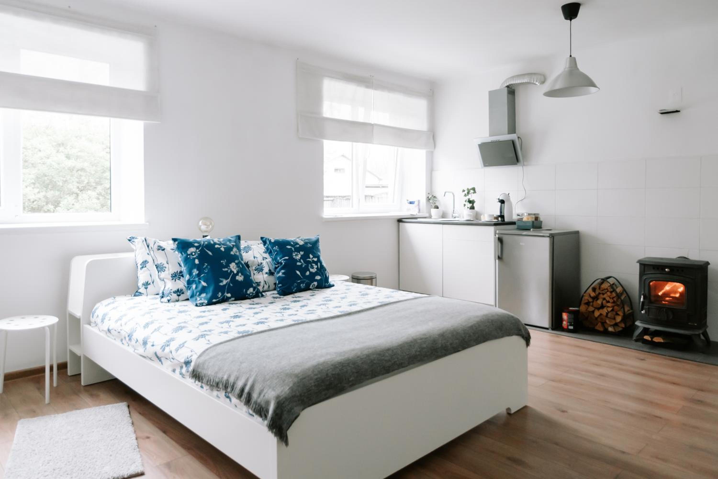 Lake Aluksne studio apartment view 2