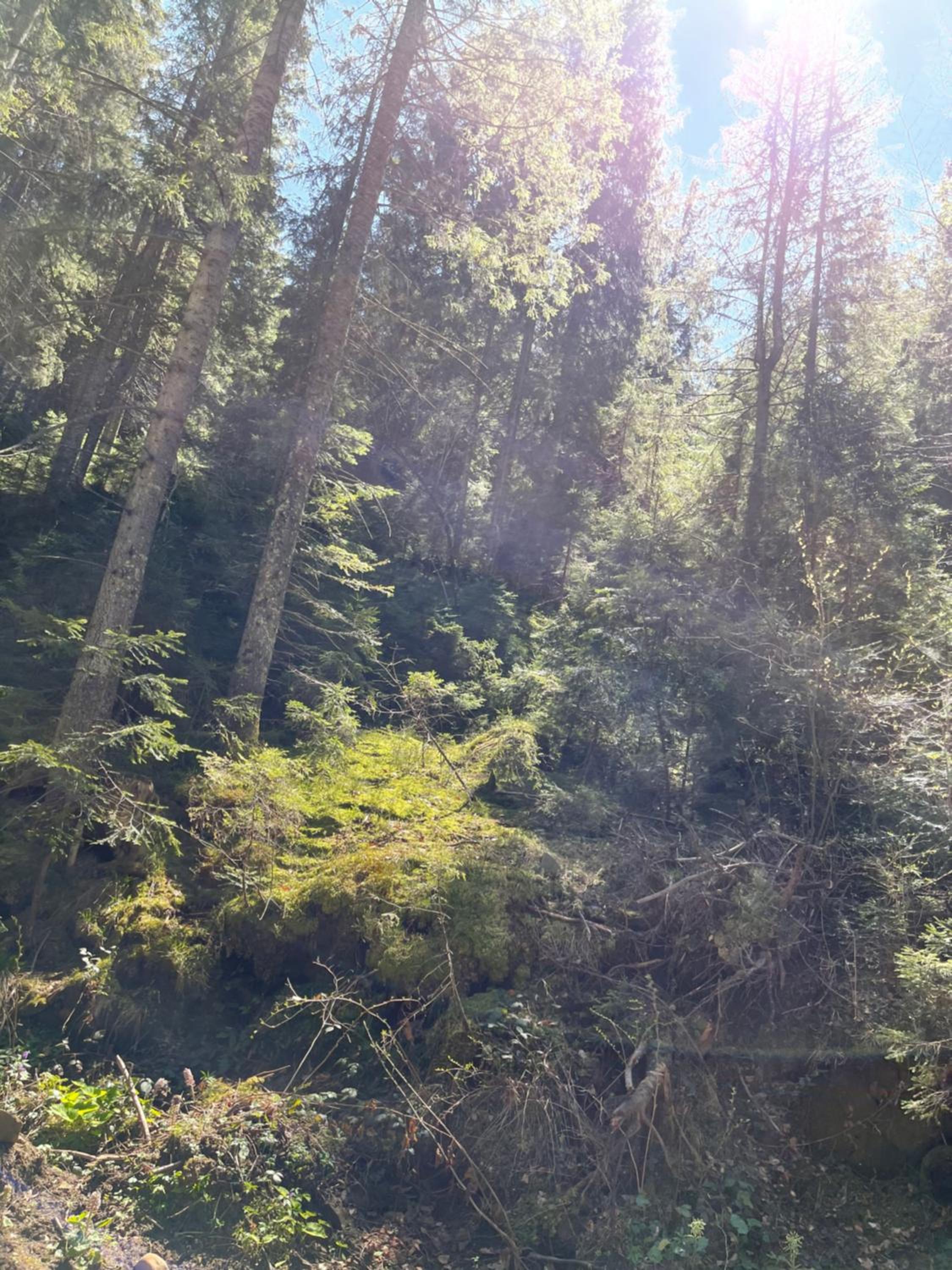 Photo 32