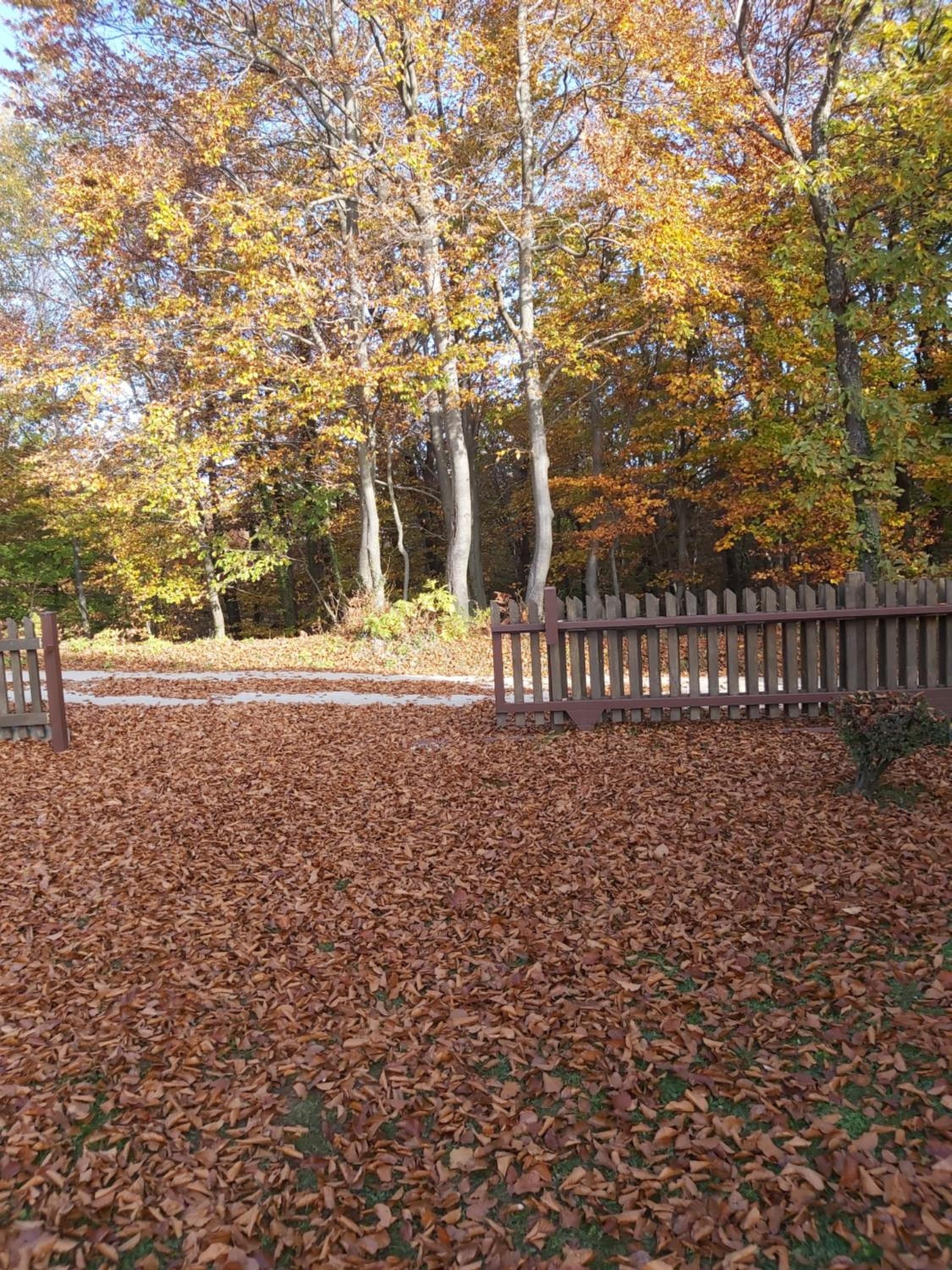 Photo 42
