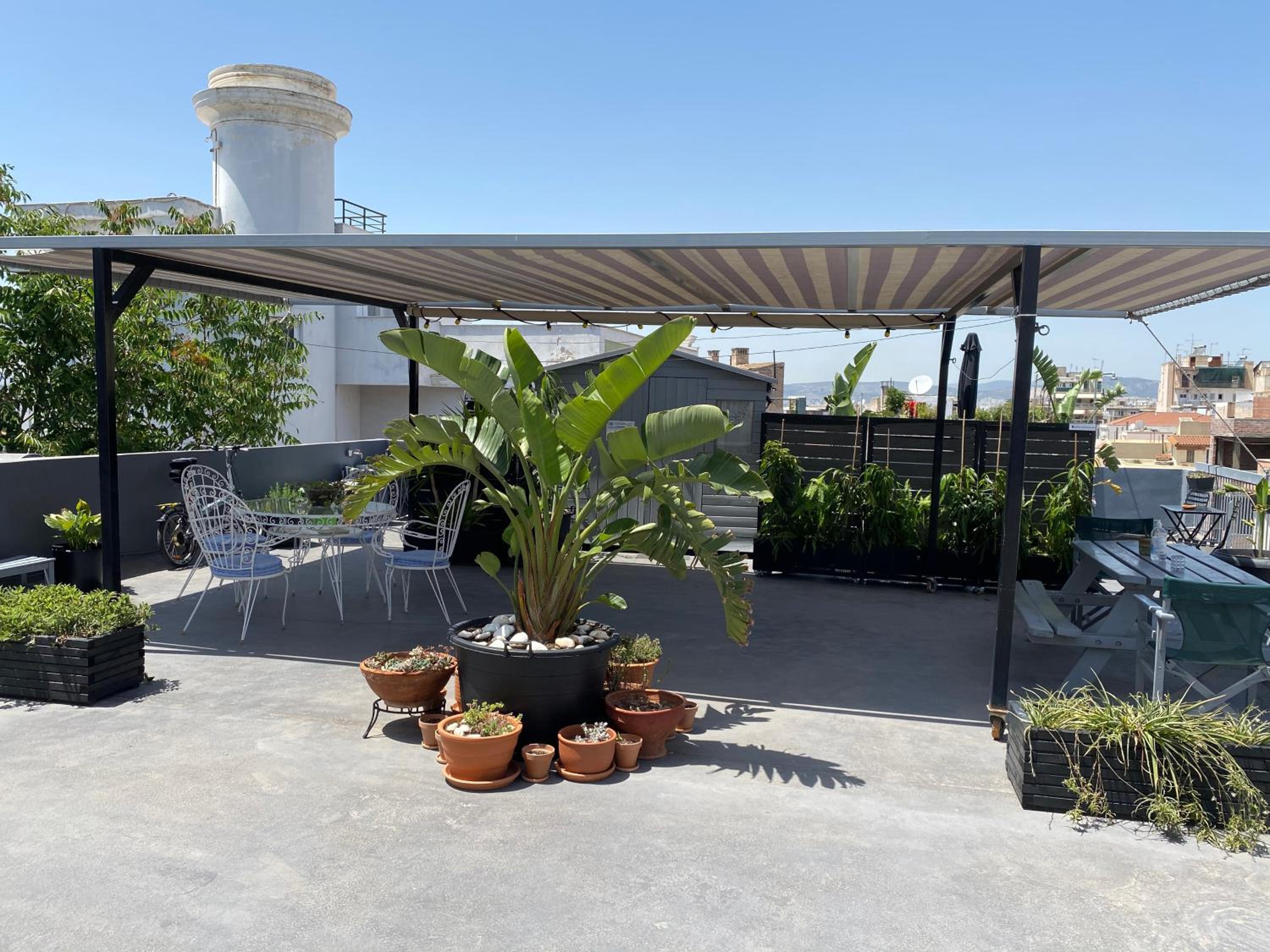 roof