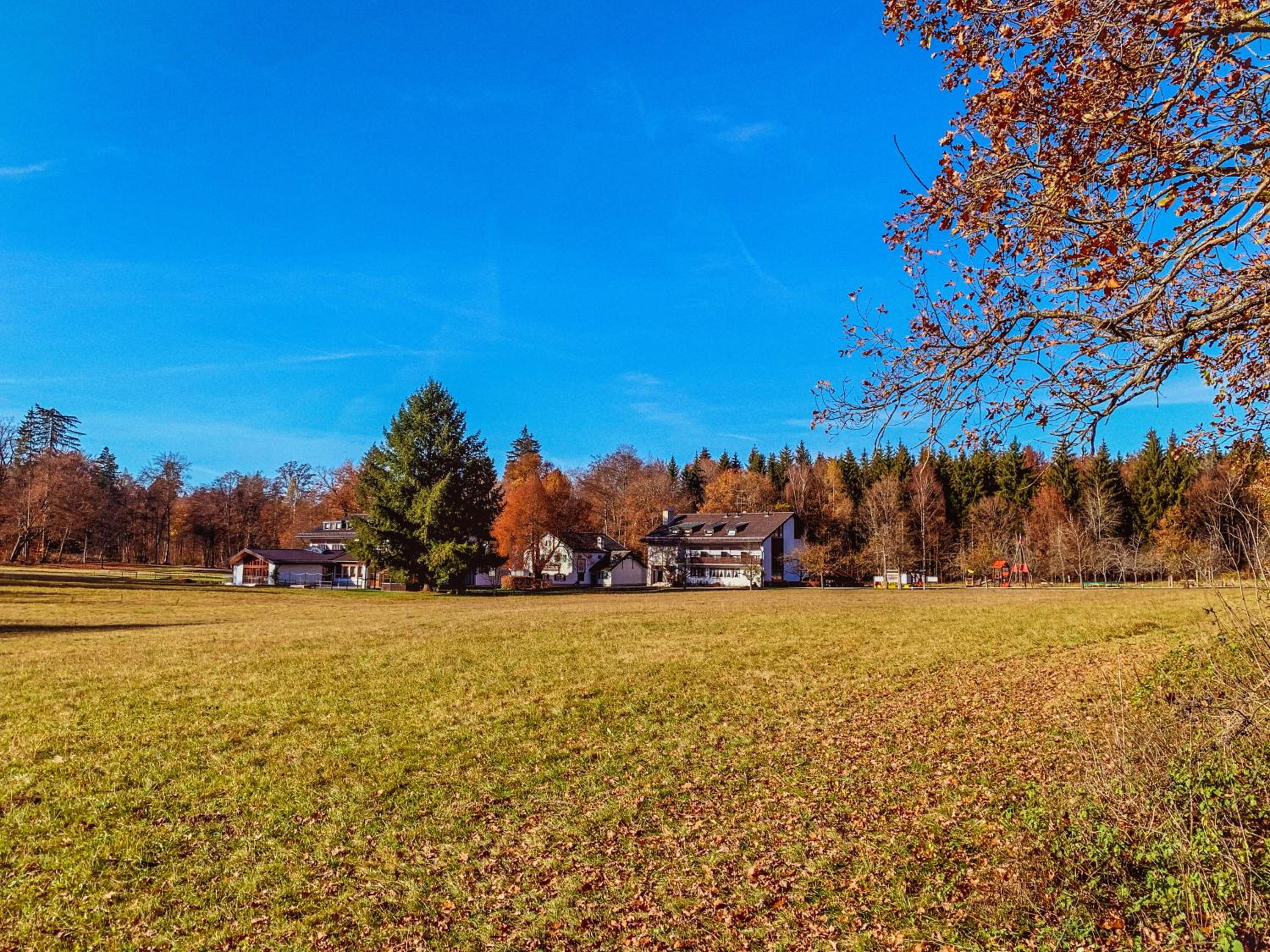 Waldgasthof zum Geländer view 4