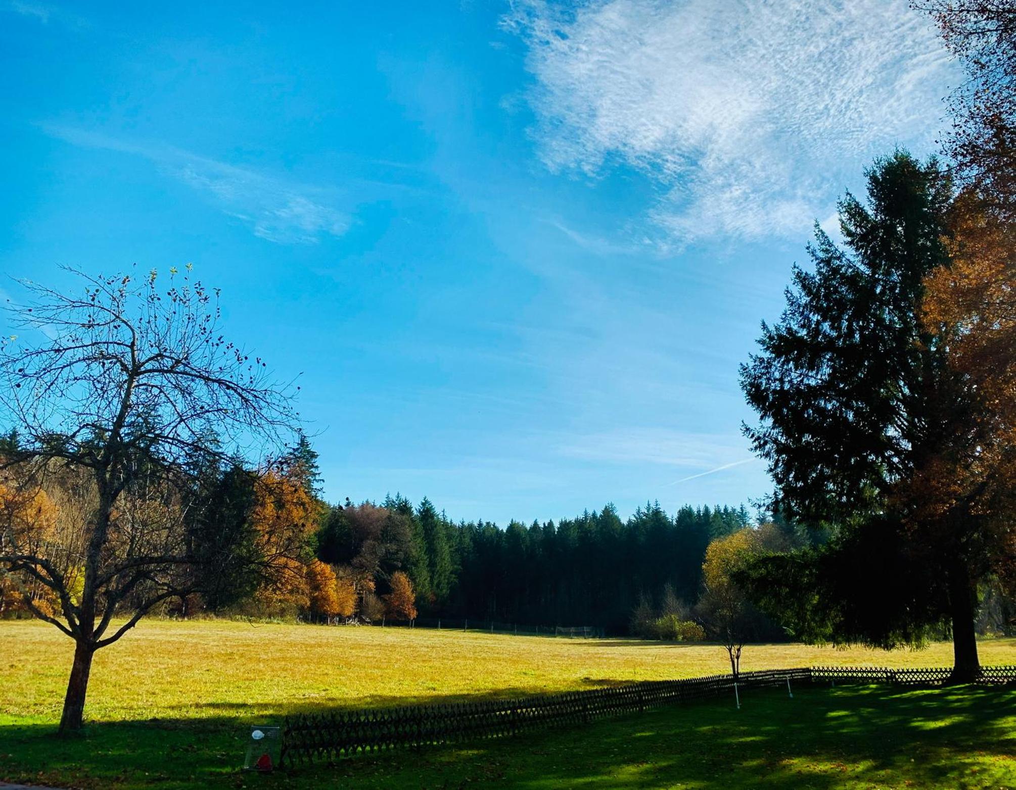 Waldgasthof zum Geländer view 3