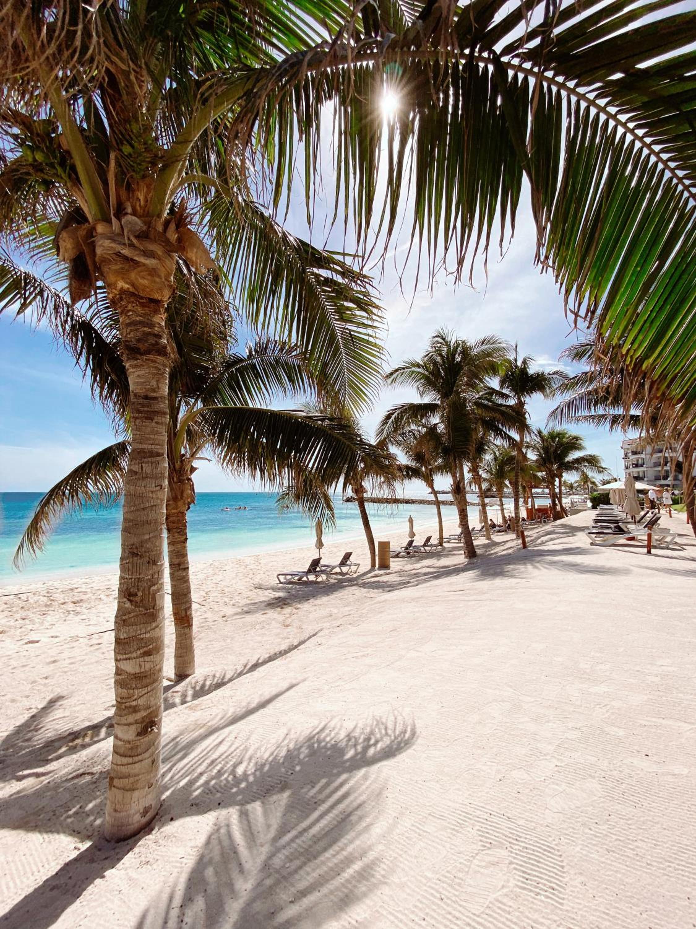 Ventus at Marina El Cid Spa  Beach Resort - All Inclusive - Property Image 36