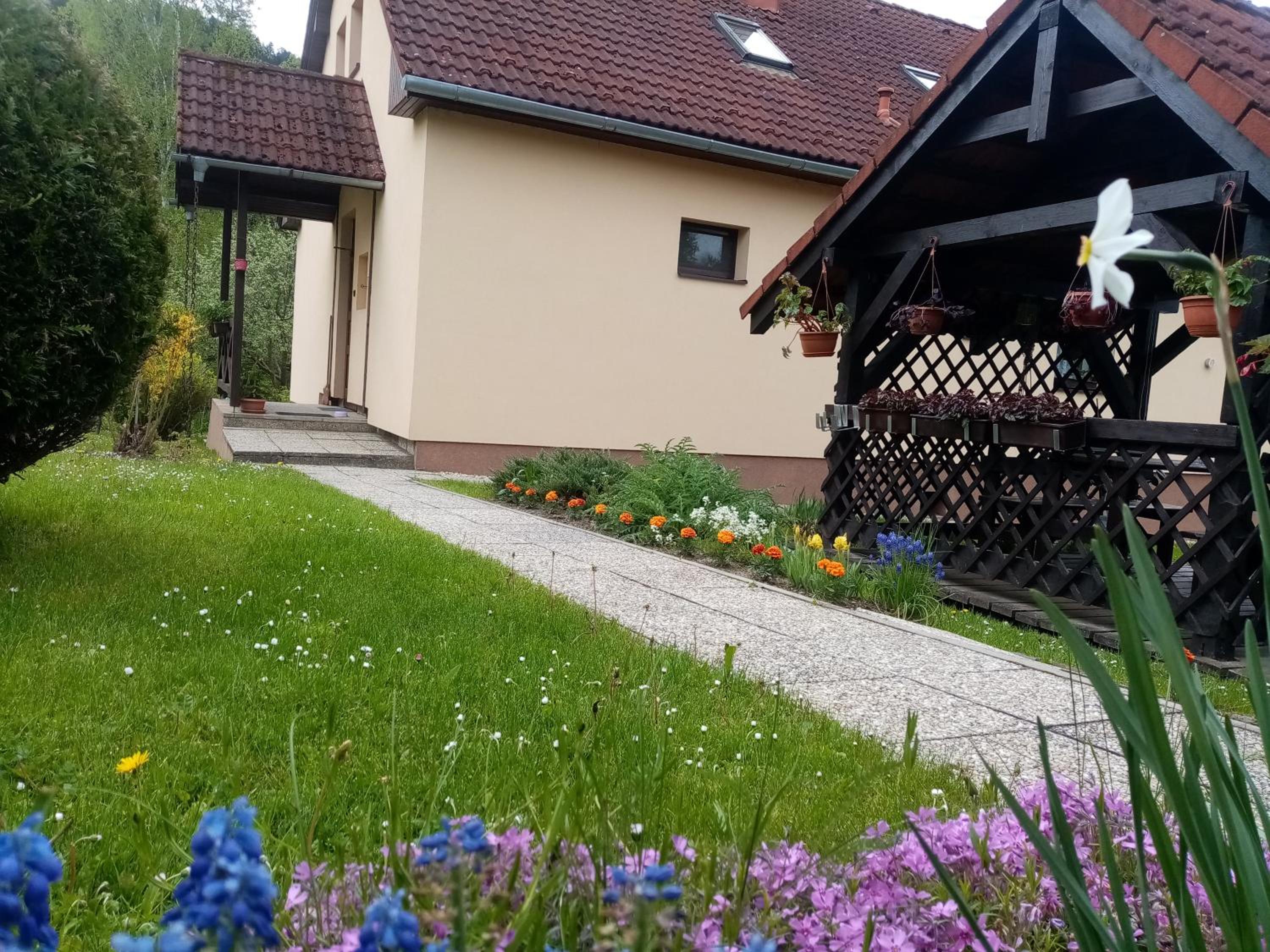 Photo 13