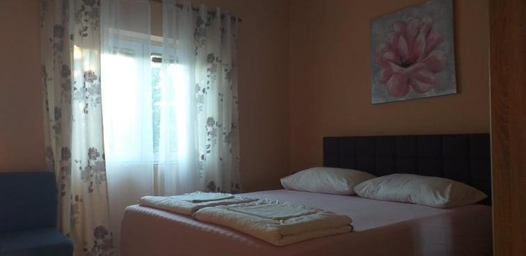Apartments Golić
