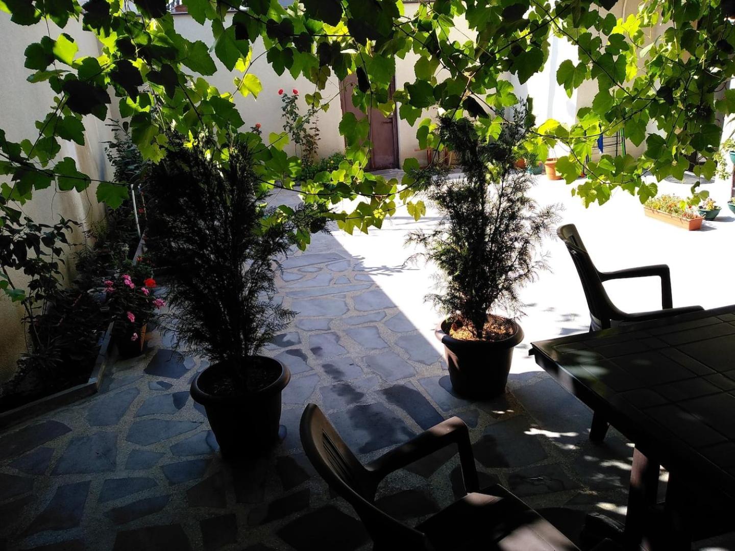 Photo 46