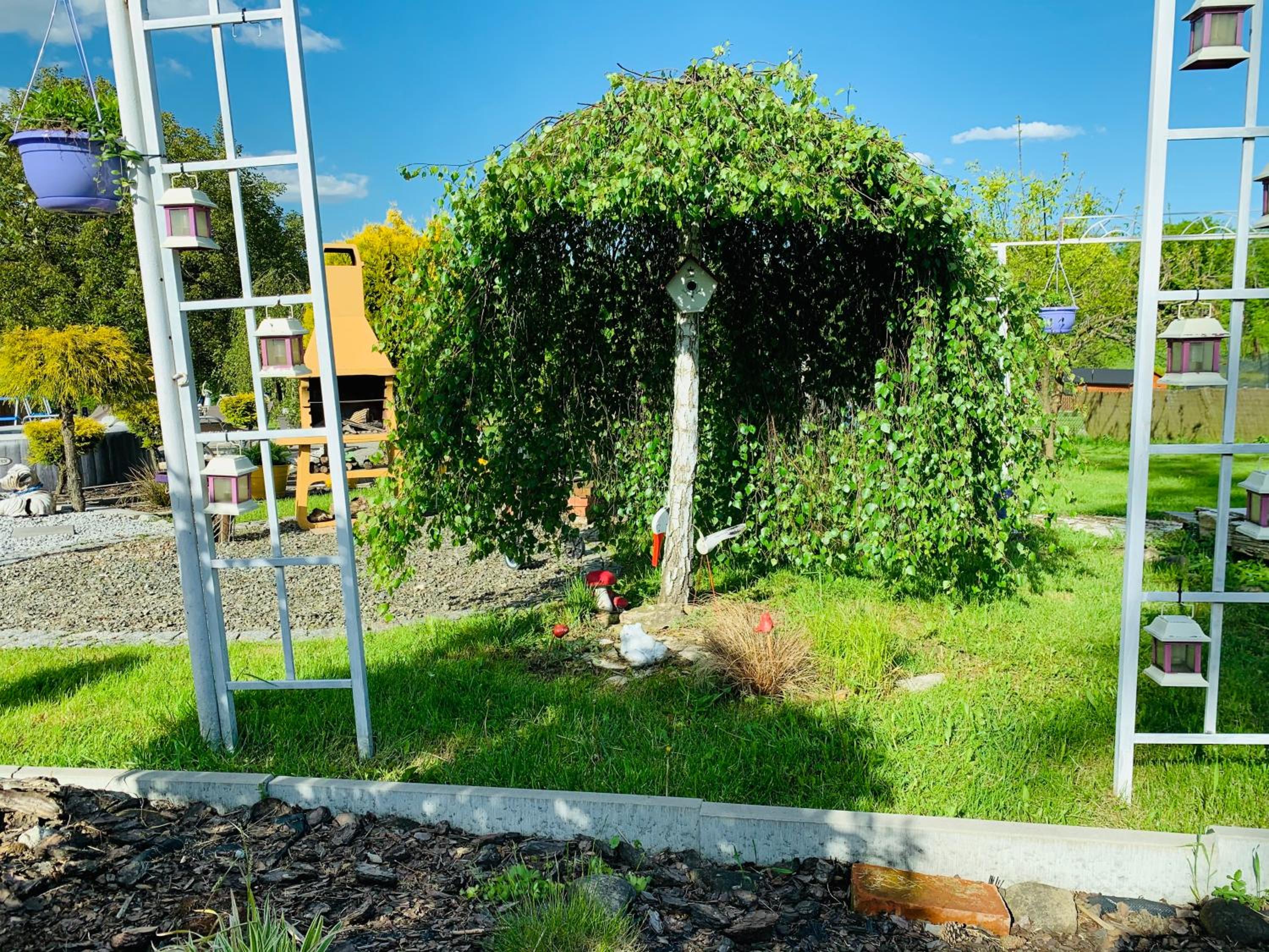 Photo 19