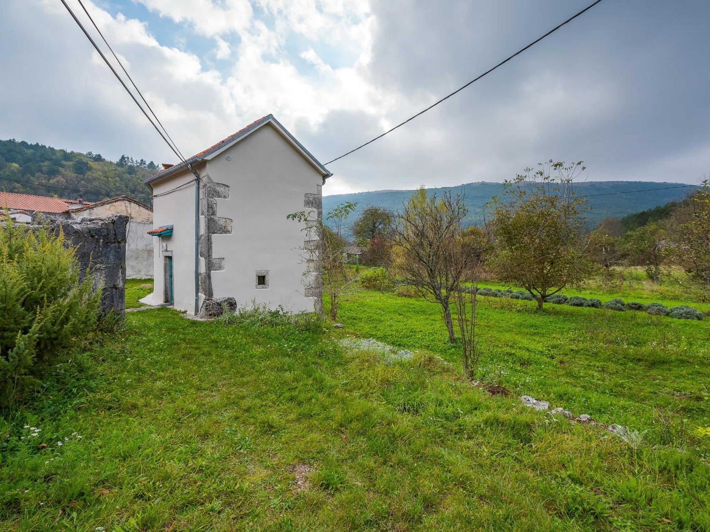 Photo 20