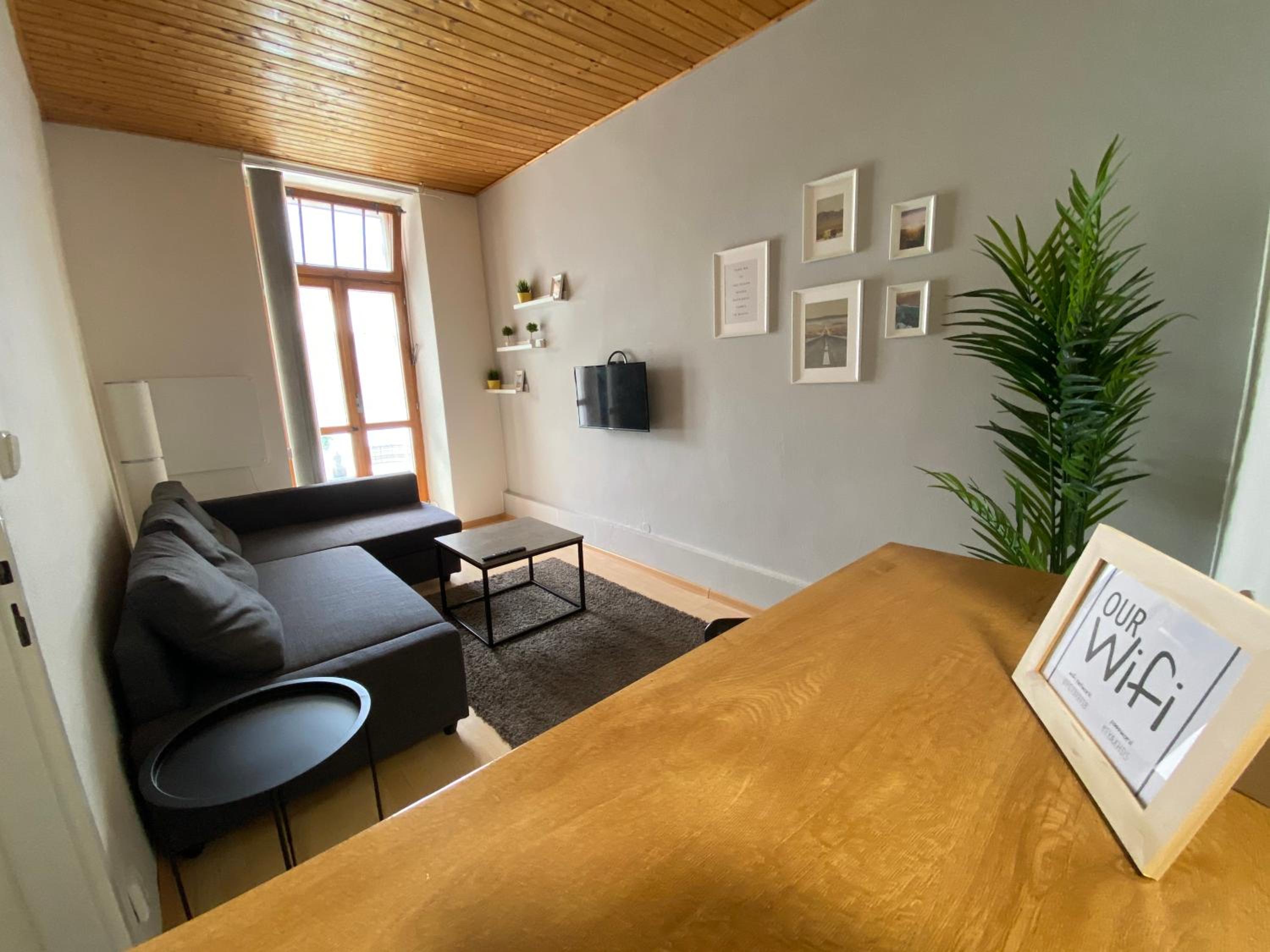 Downtown Flat under Spilberk Castle view 4