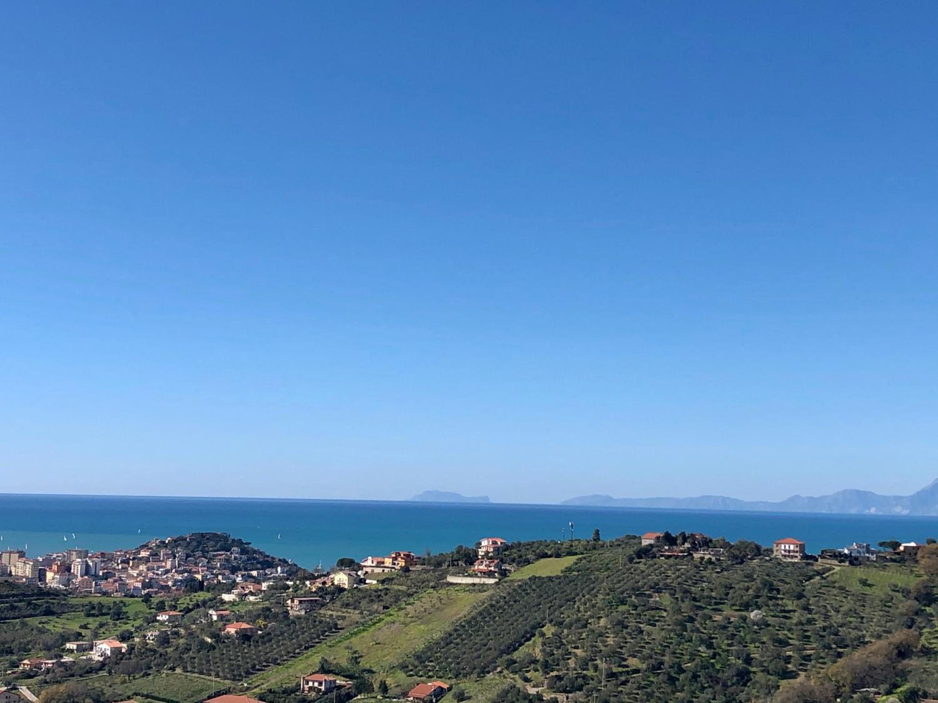 Dolce Basilico