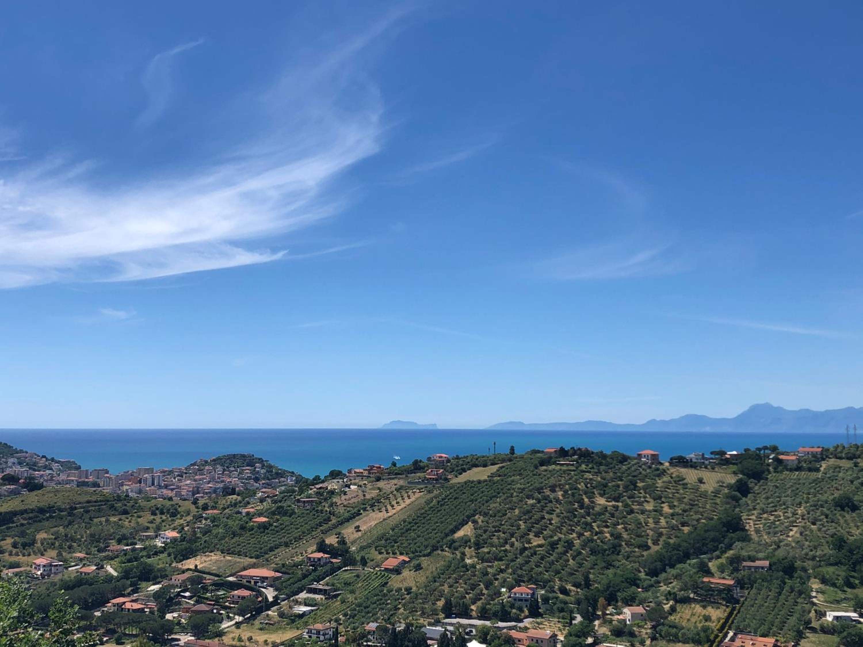 Dolce Basilico