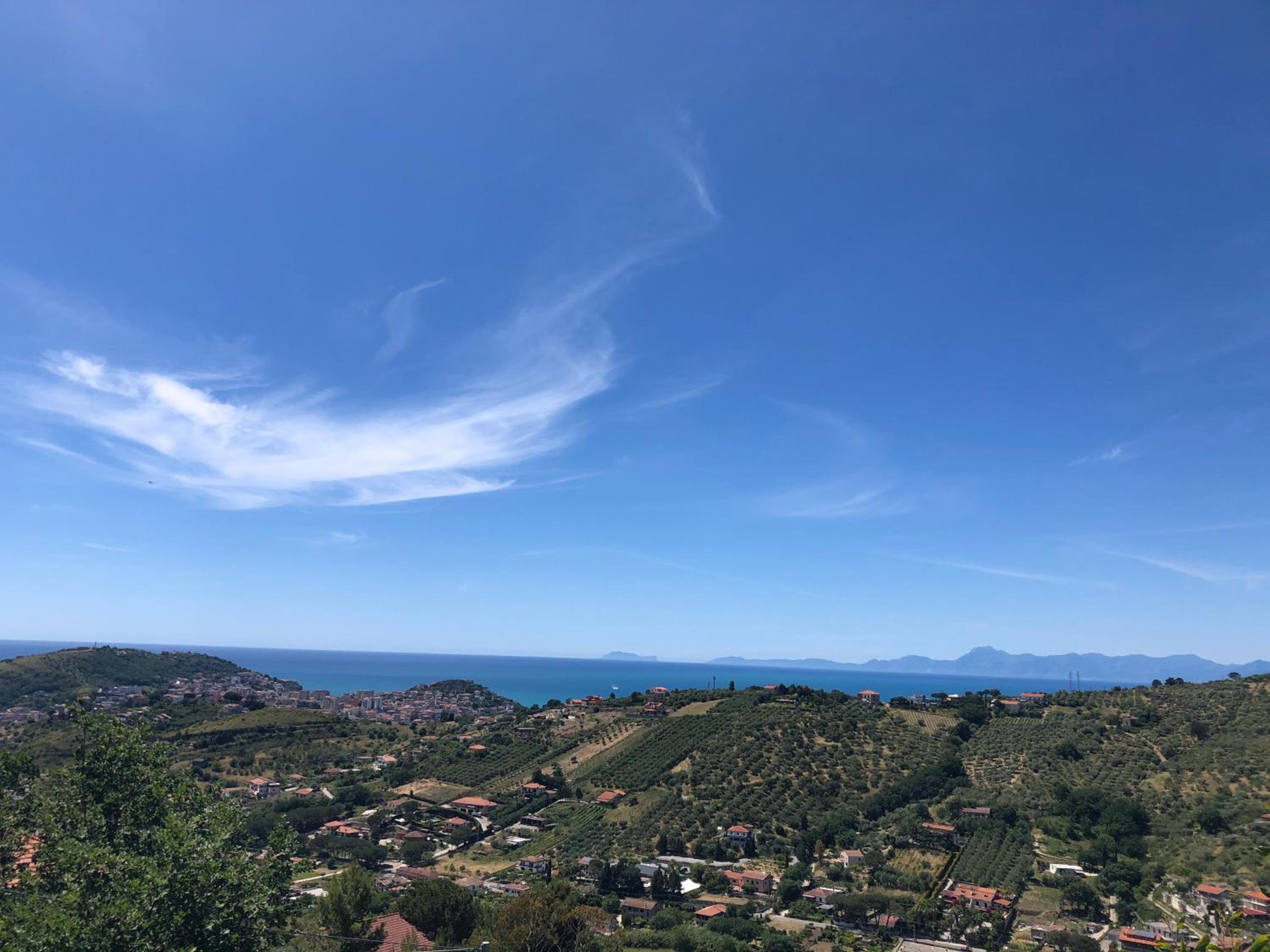 Dolce Basilico