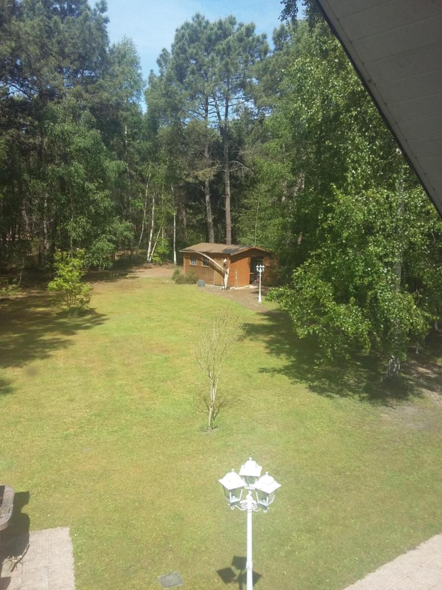 B&B La Forêt de Charmeuse view 3