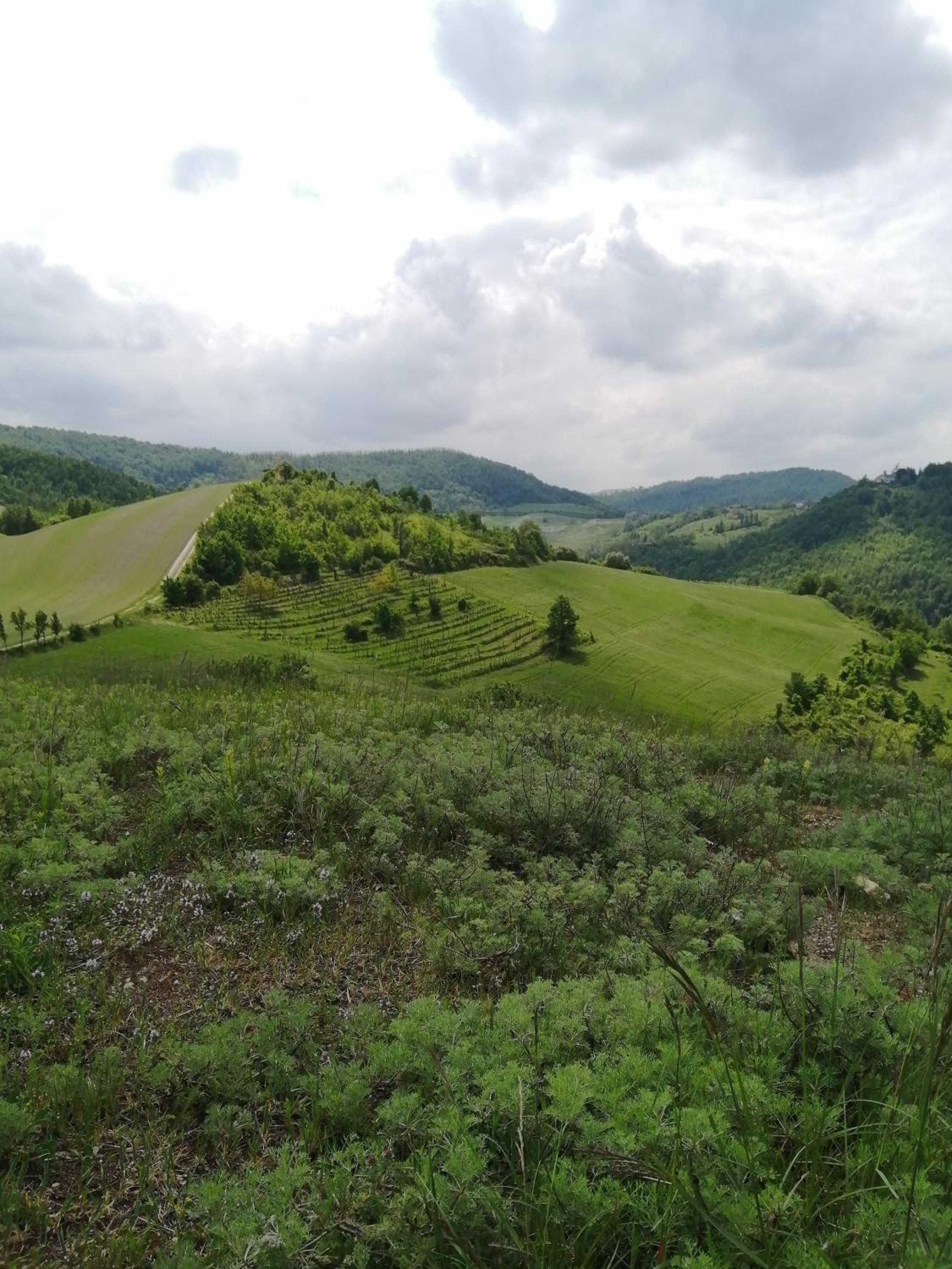 Felix House - Property Image 131