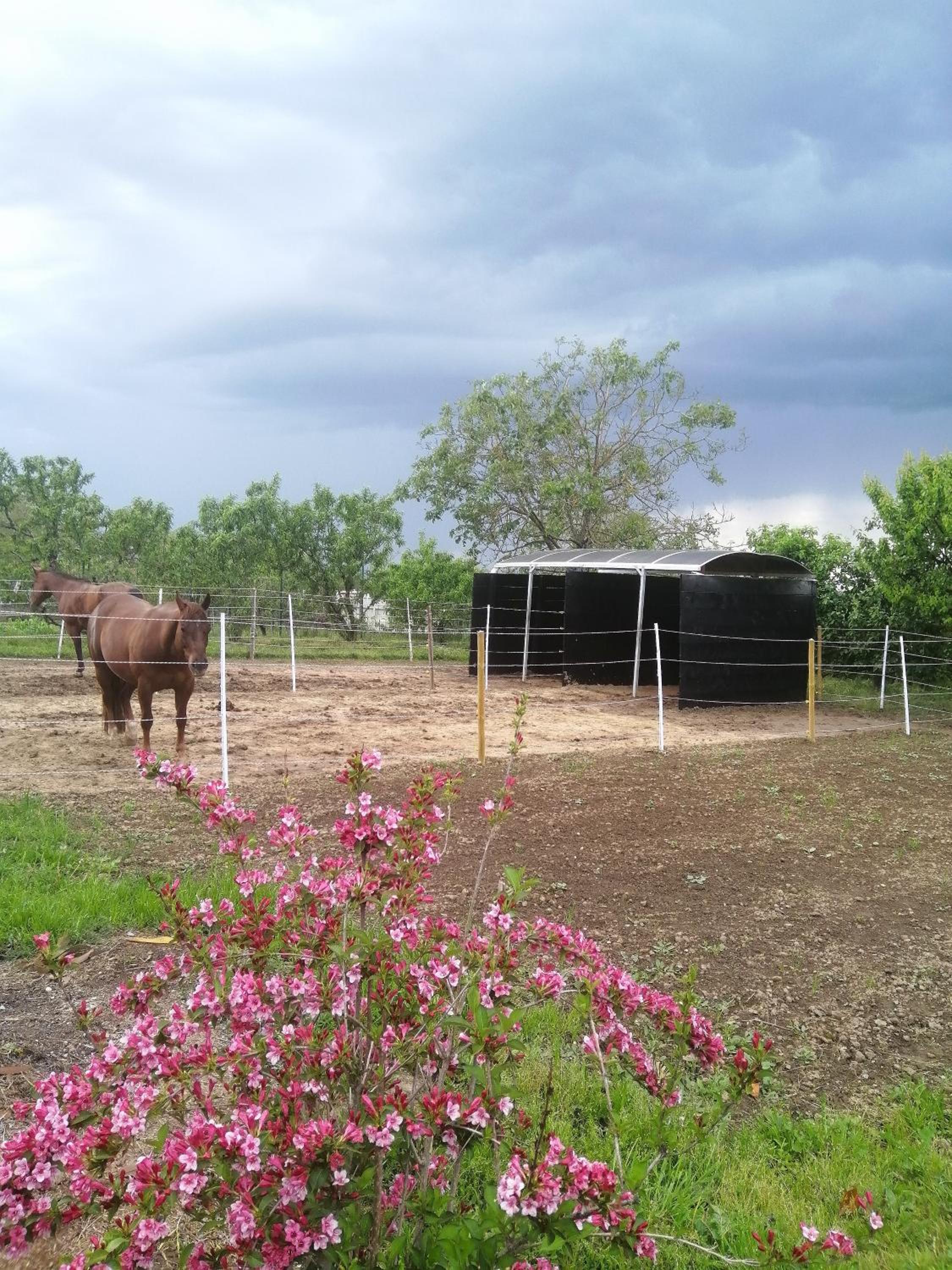 Felix House - Property Image 130