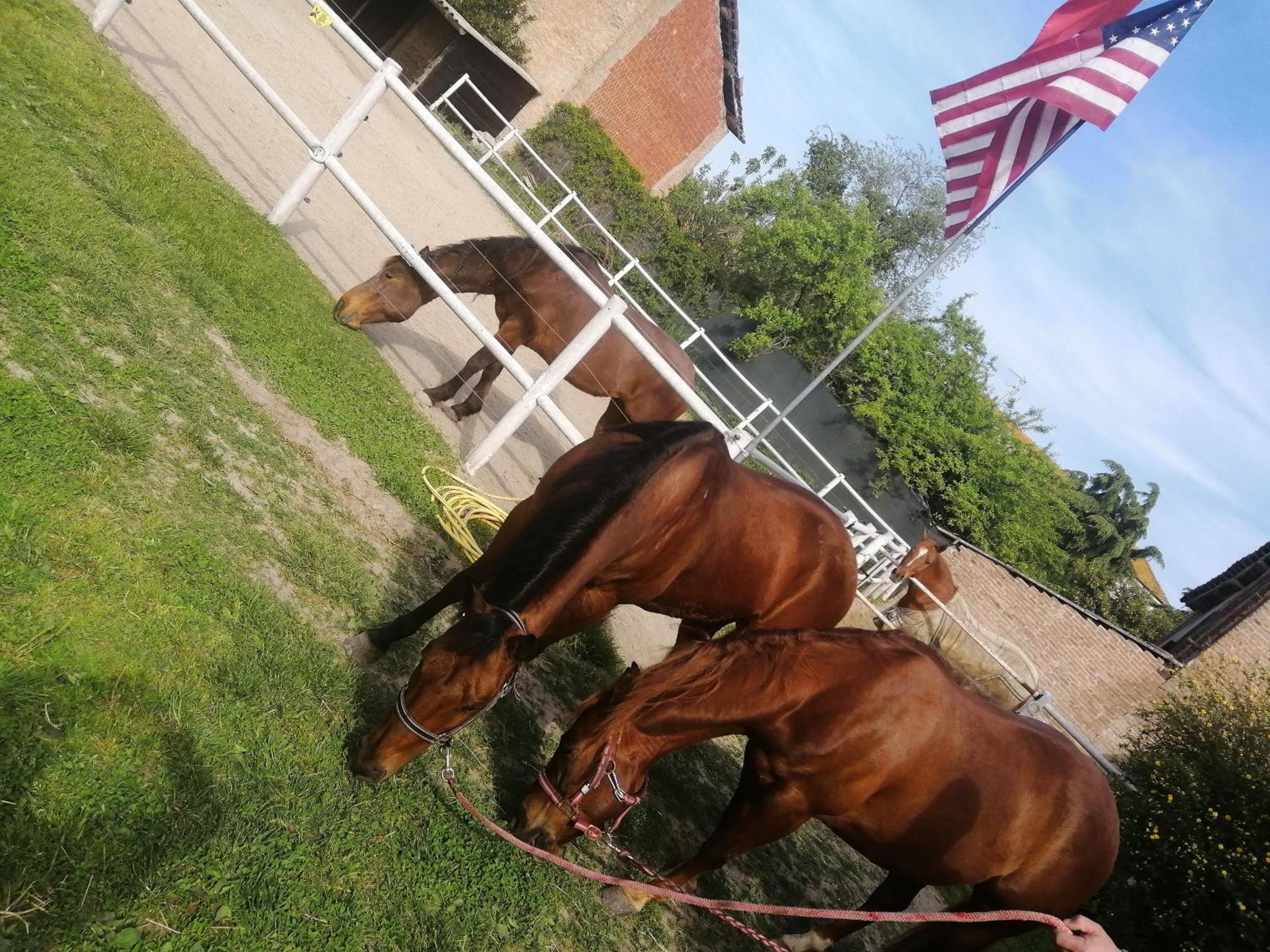 Felix House - Property Image 129