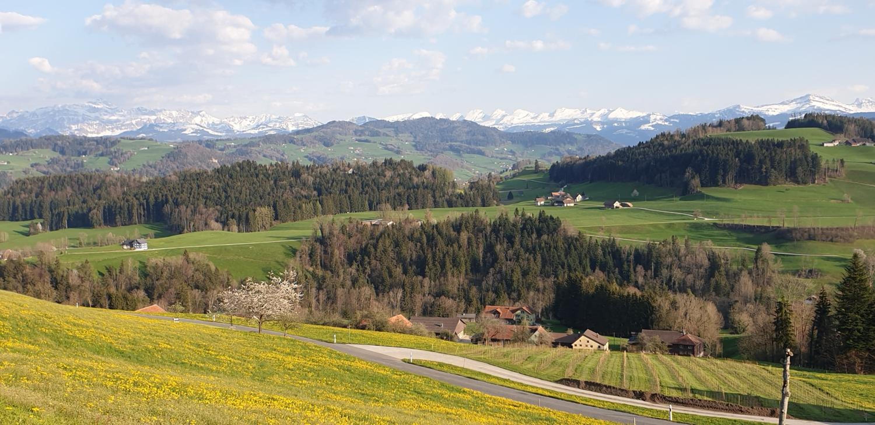 BnB Alpenblick