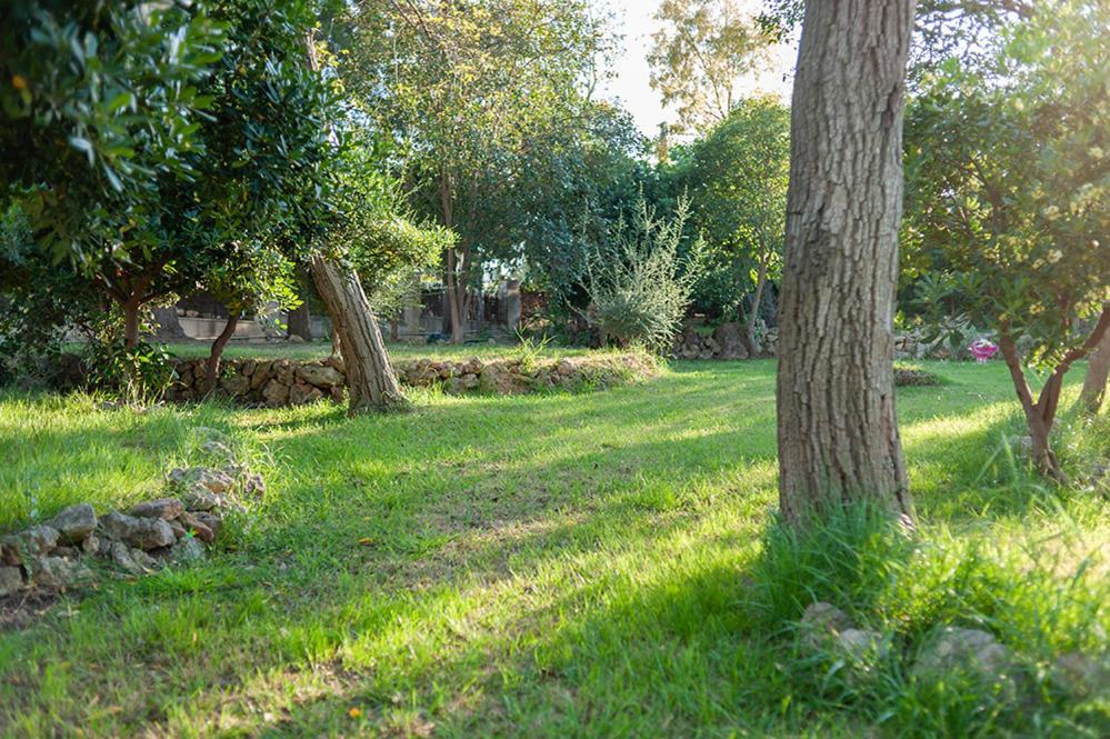 Villa Entrenaranjos