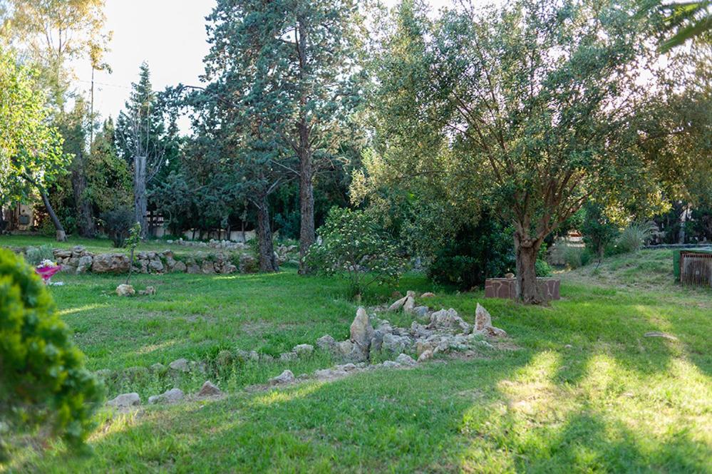Villa Entrenaranjos