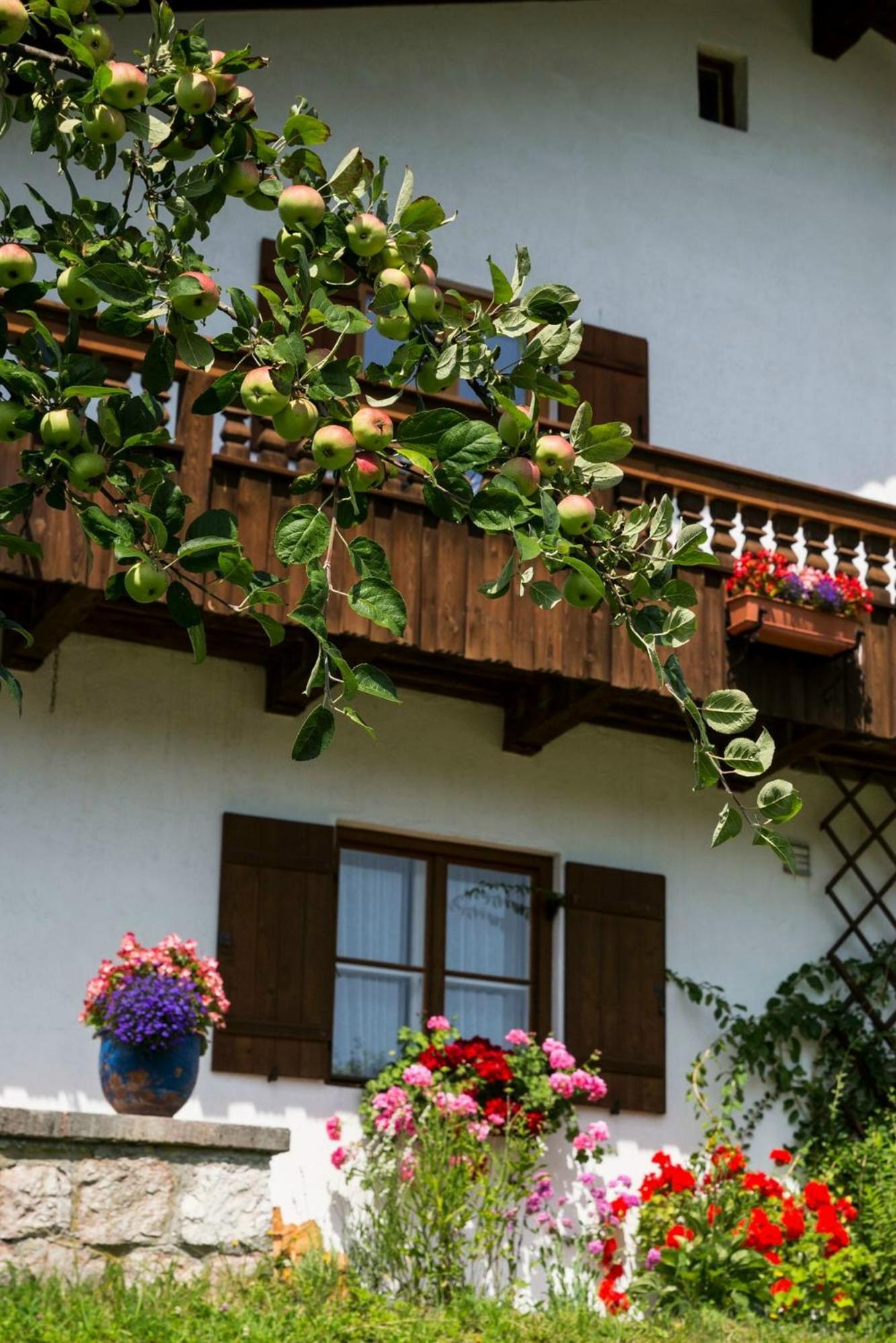 Haus Bergfreund