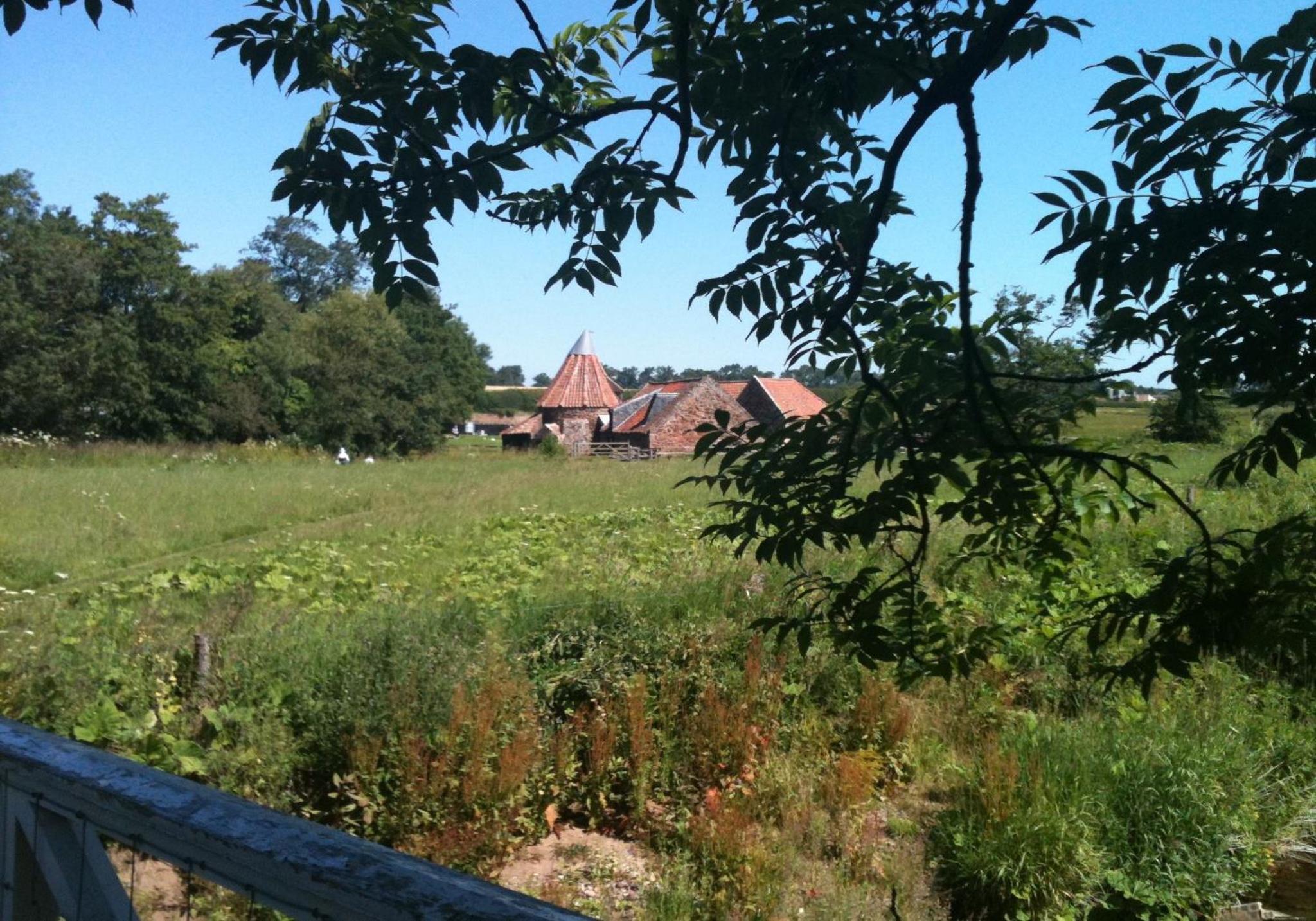 Photo 26